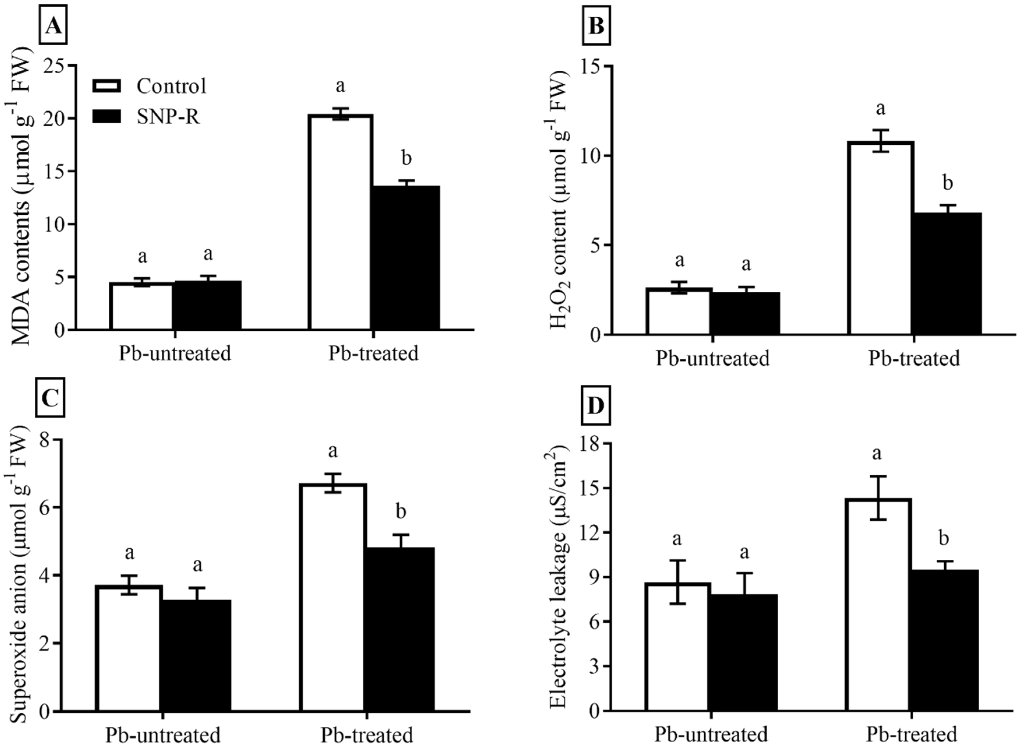 Ijms 23 09729 g003 Ijms 23 09729 g003
