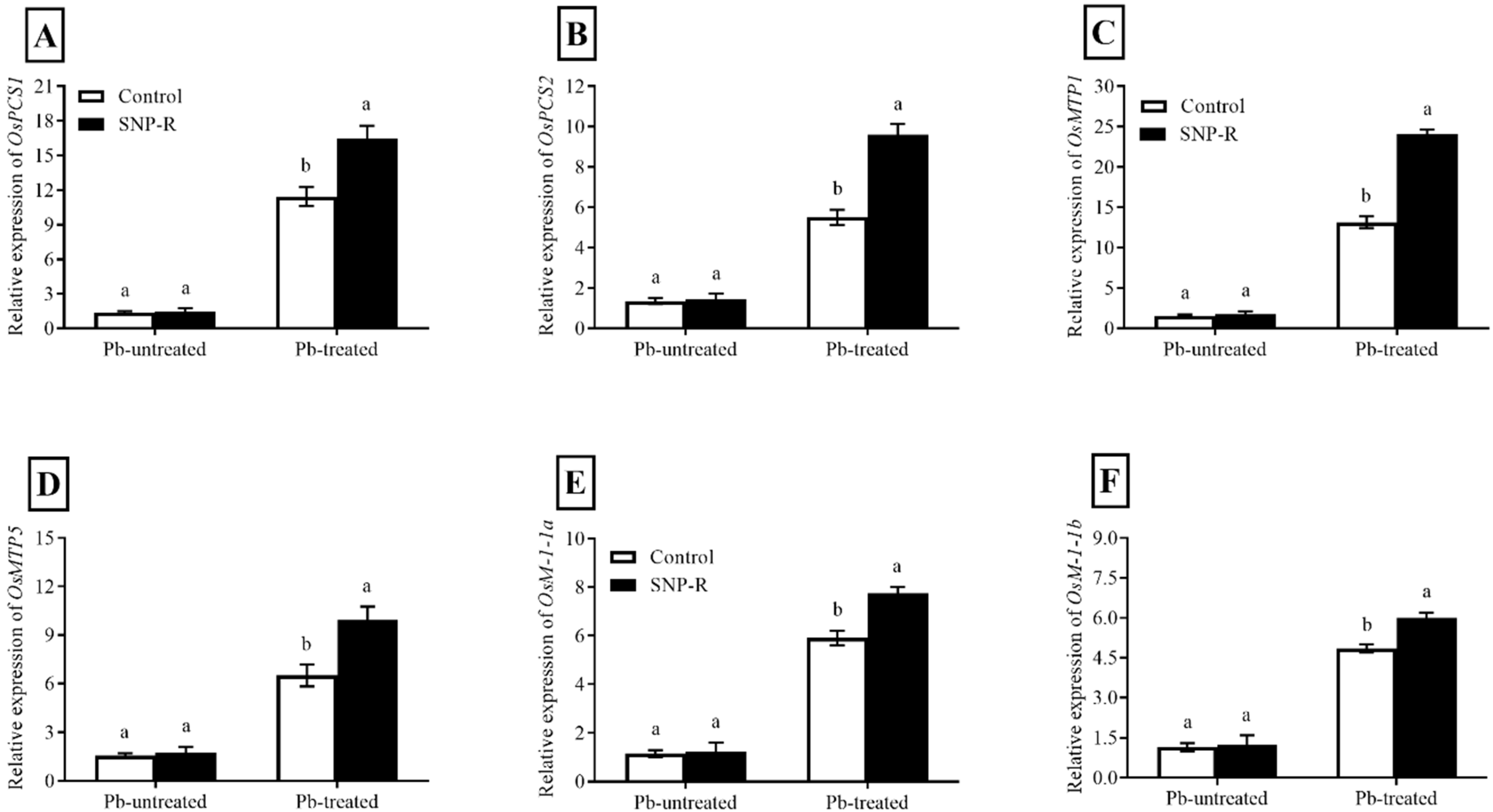 Ijms 23 09729 g005 Ijms 23 09729 g005