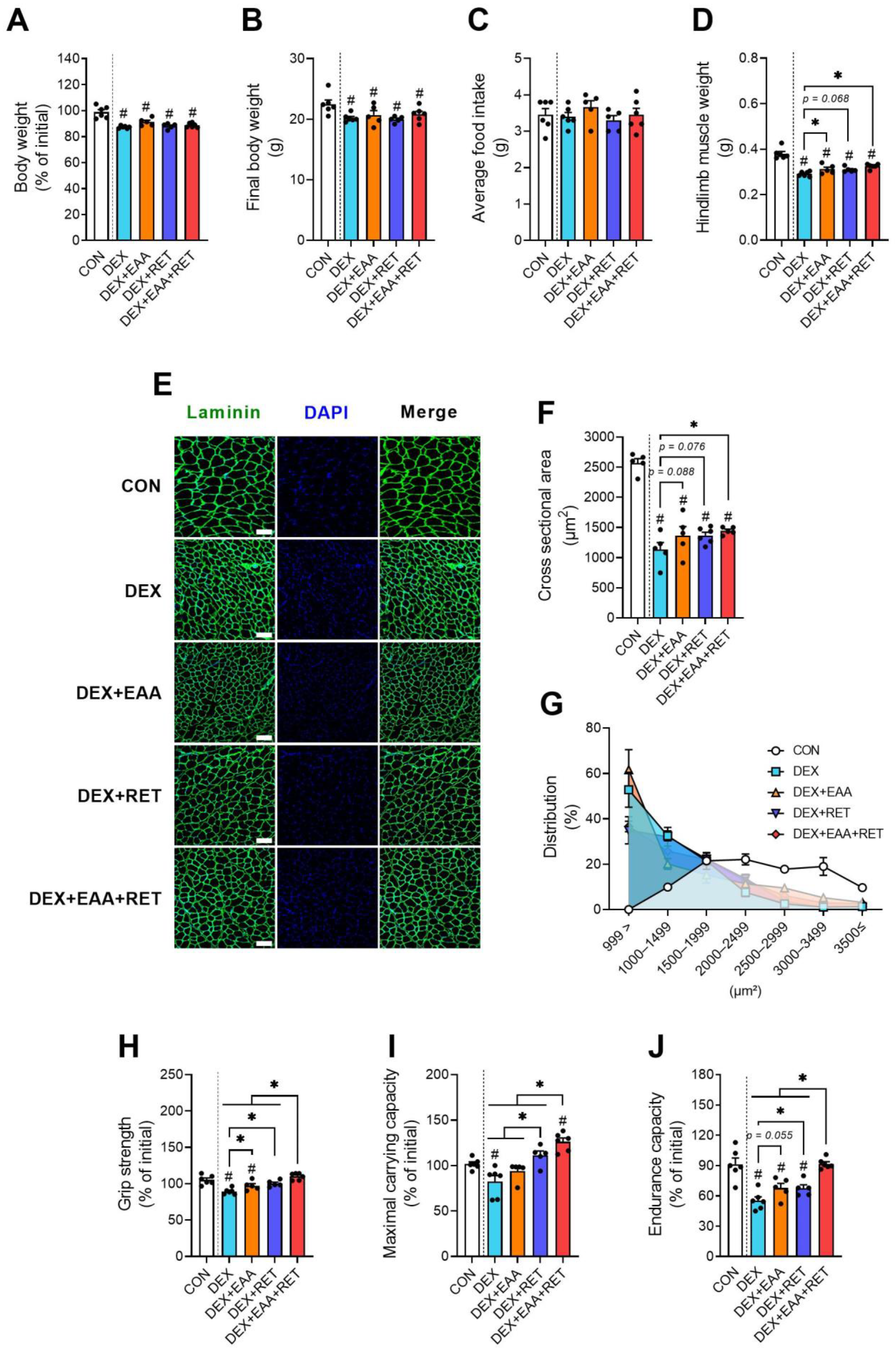 Ijms 23 09735 g001 550