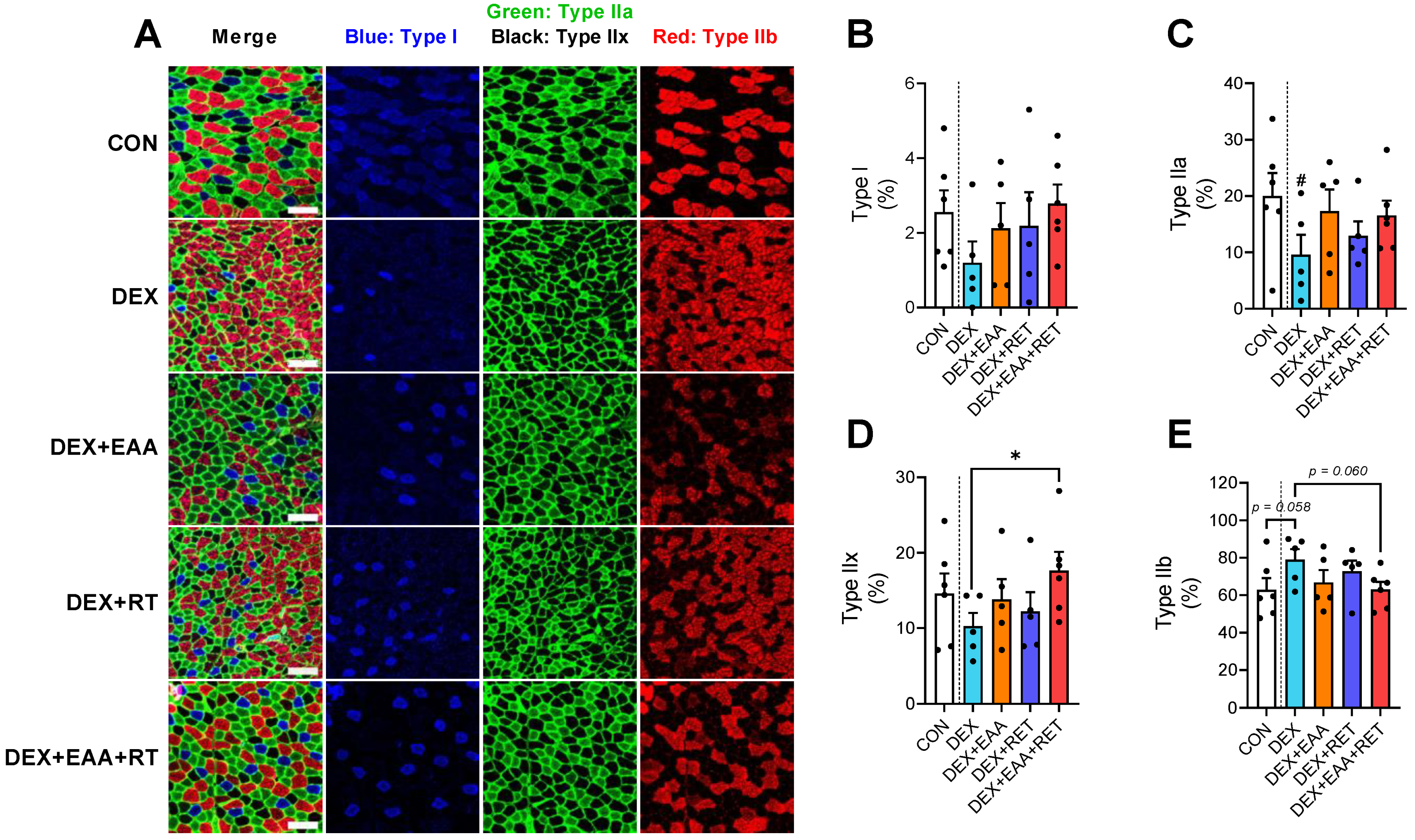 Ijms 23 09735 g004 550