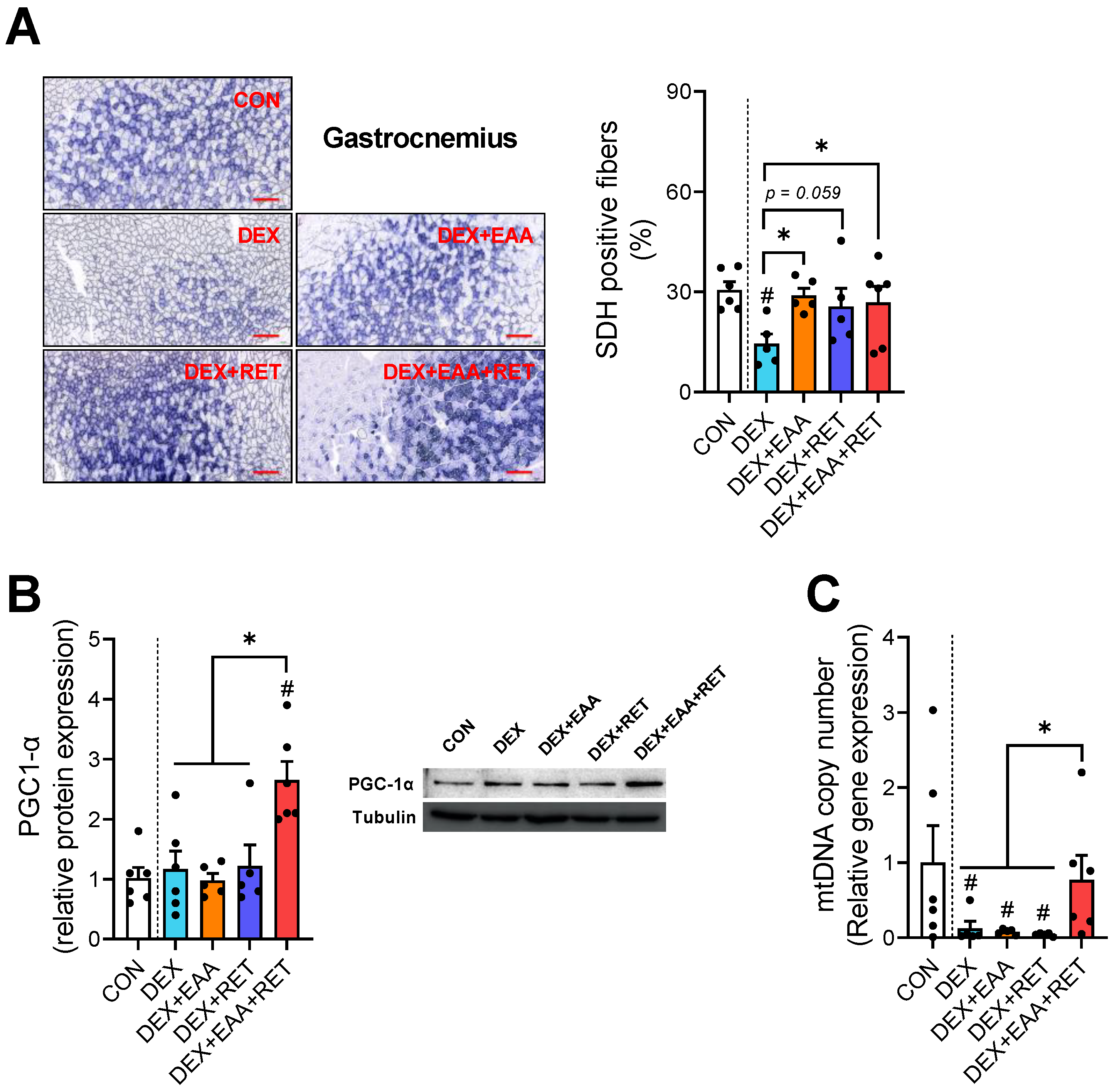 Ijms 23 09735 g005 550