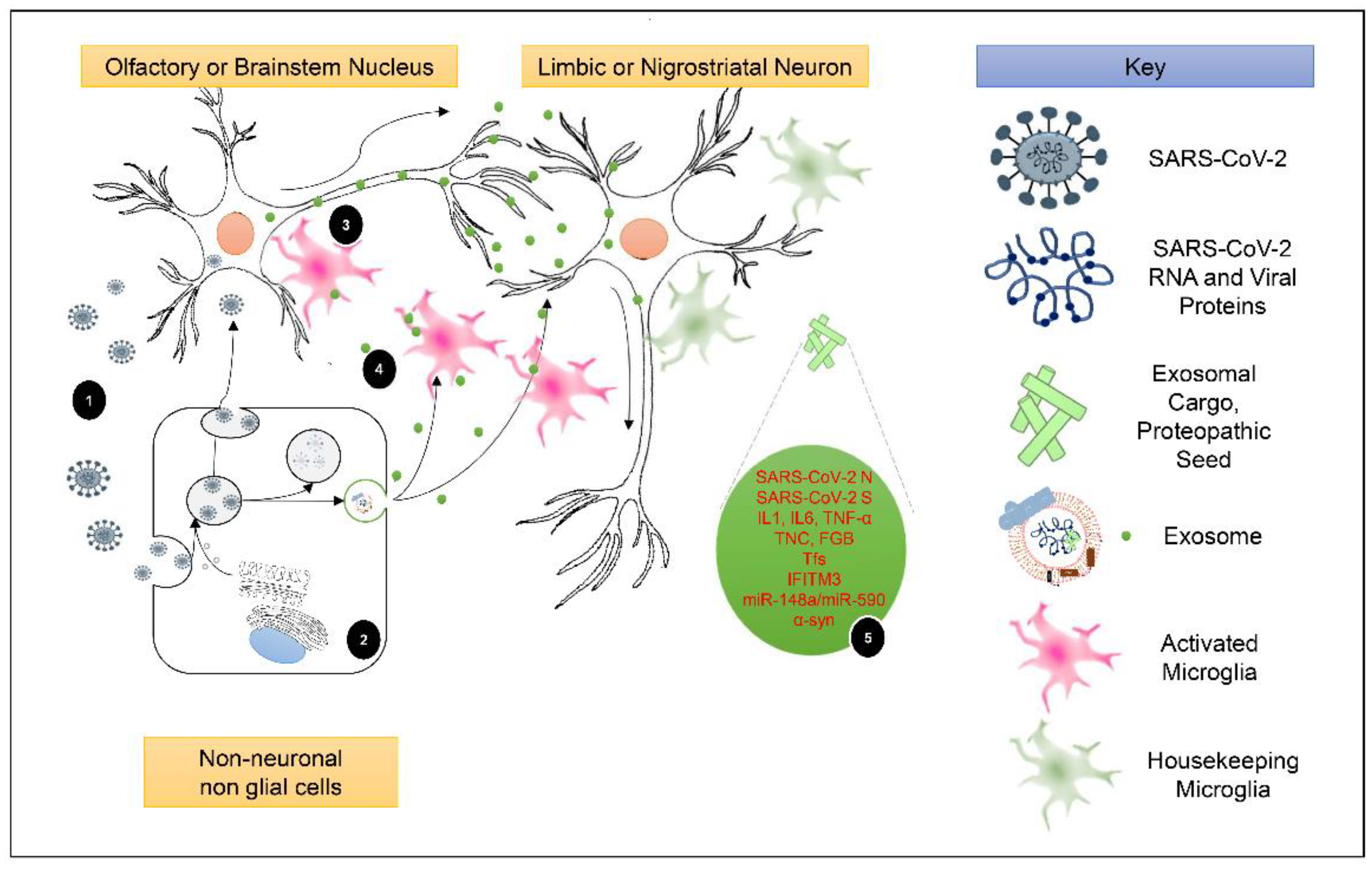 Ijms 23 09739 g002 550