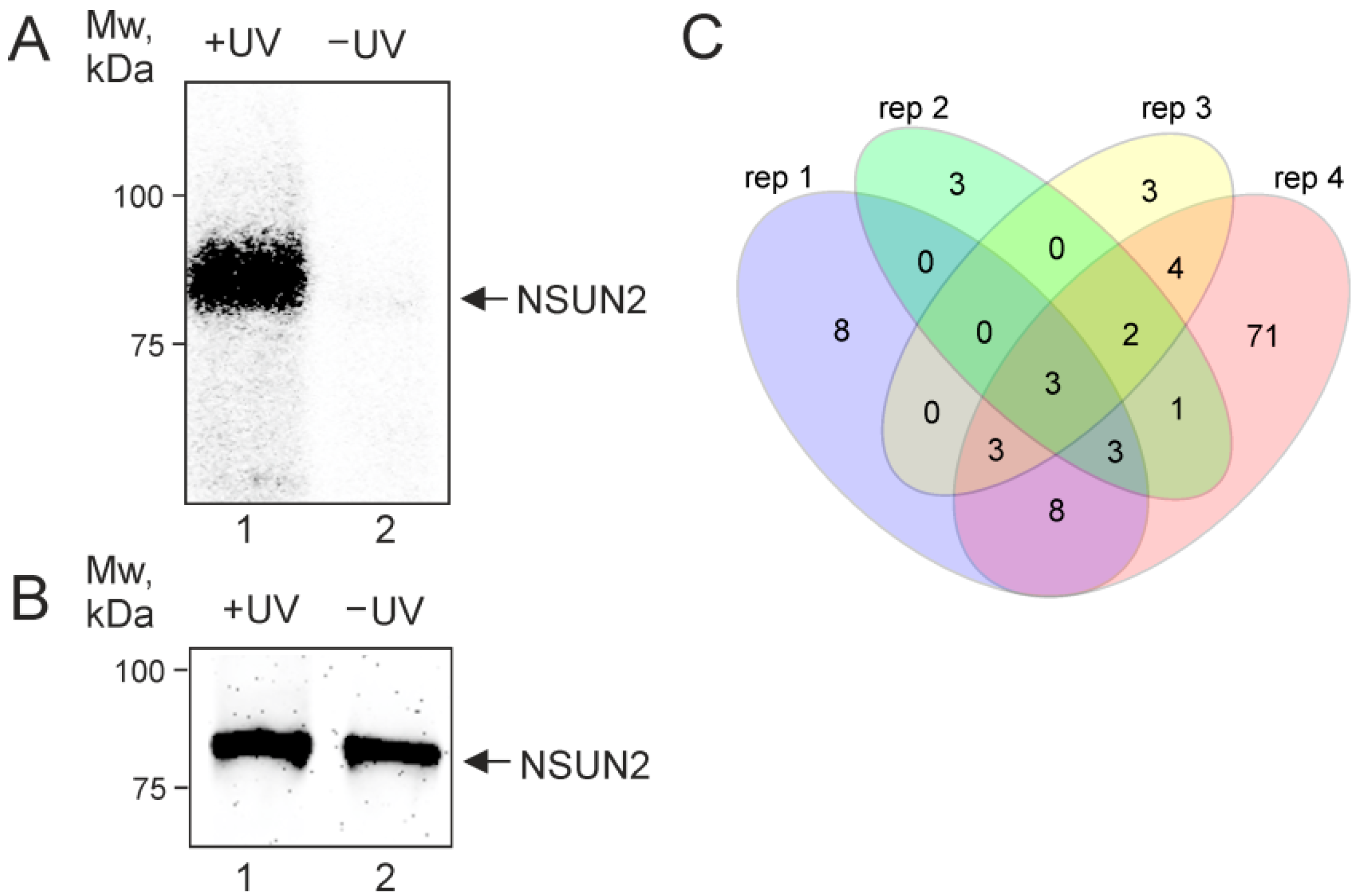 Ijms 23 09740 g001 550