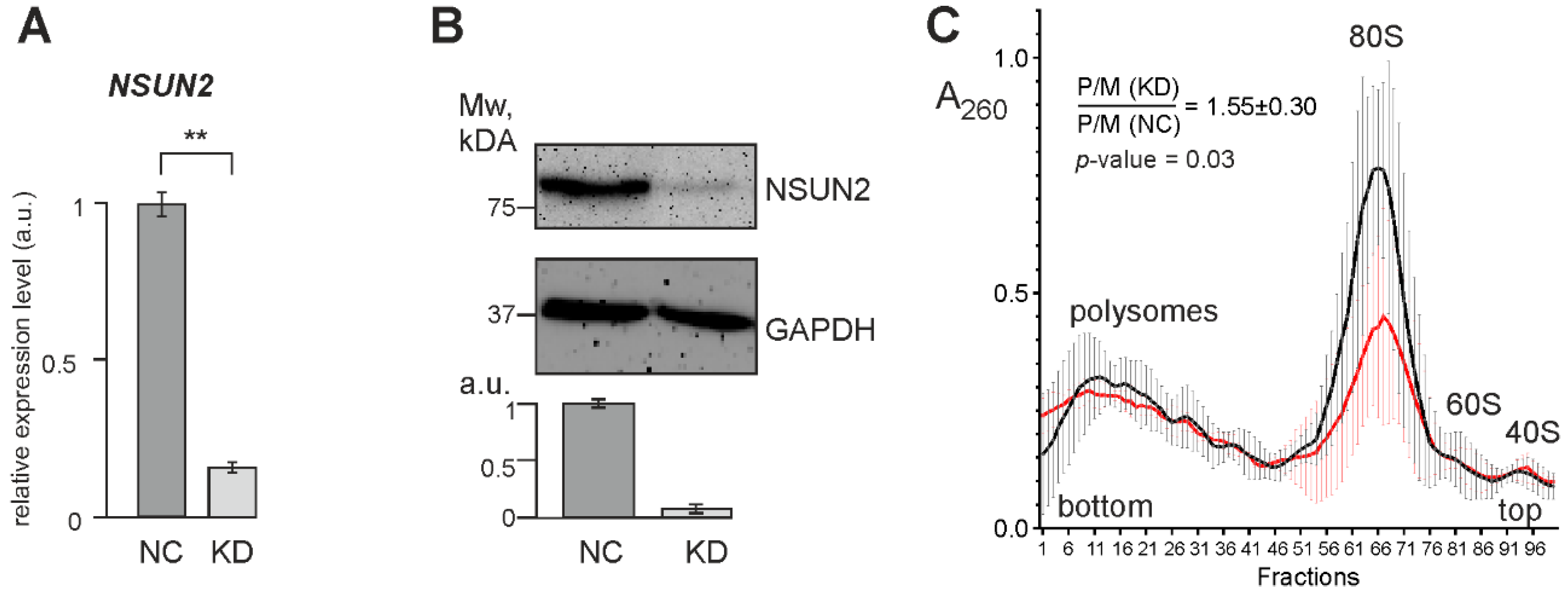Ijms 23 09740 g004 550