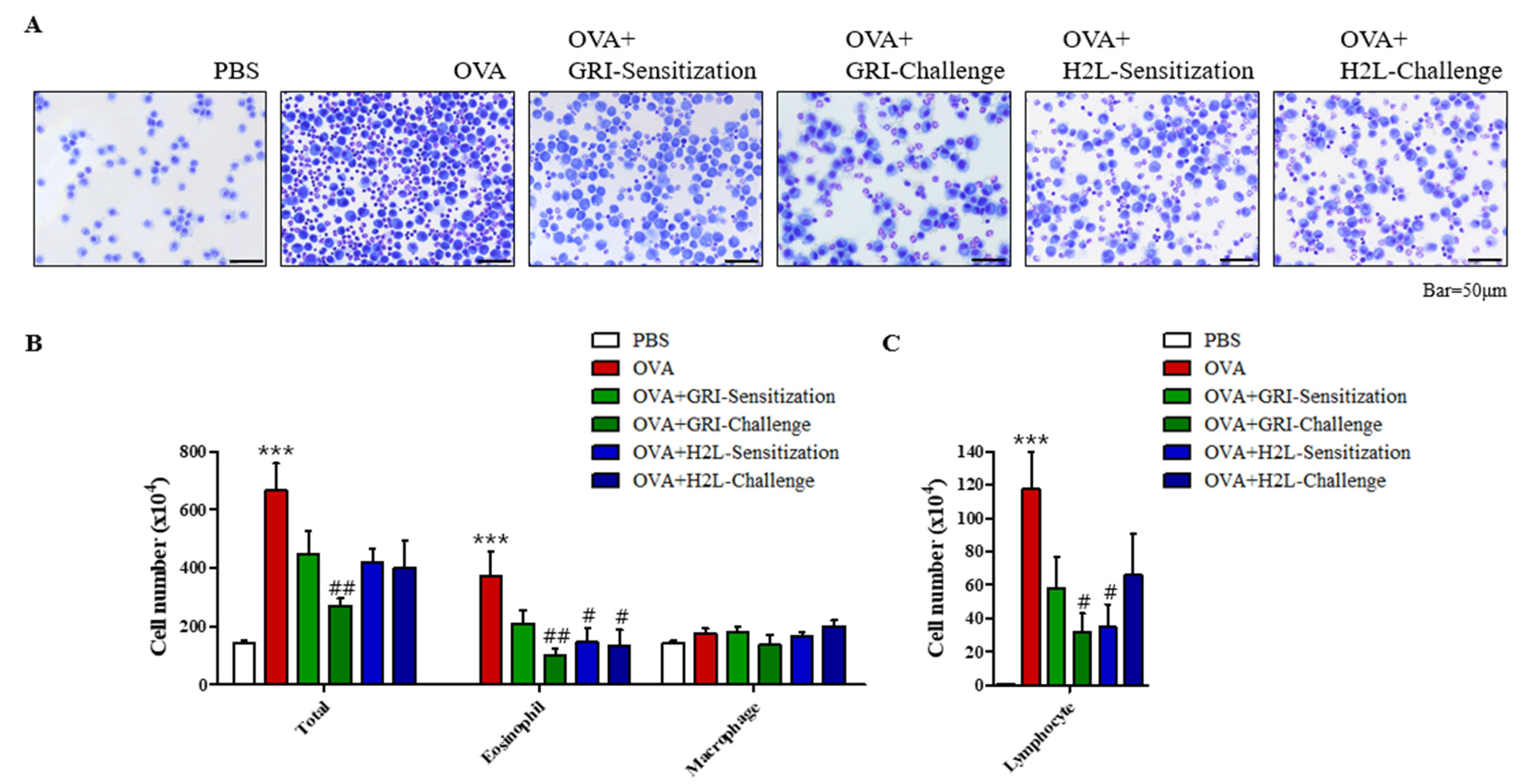 Ijms 23 09745 g002 550