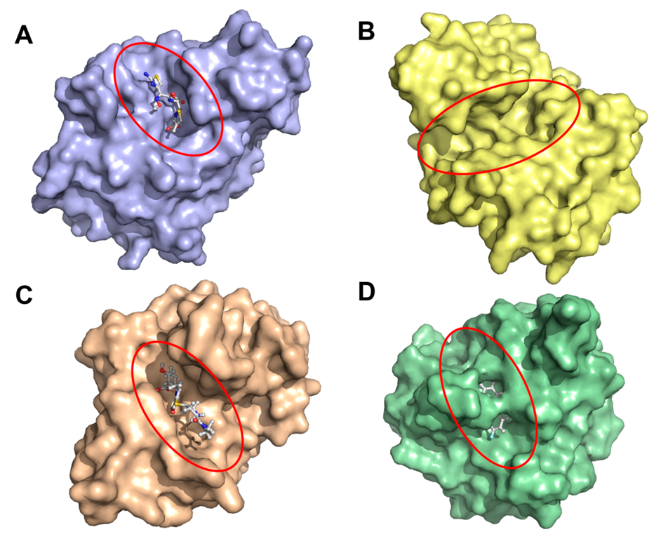 Ijms 23 09746 g001 550