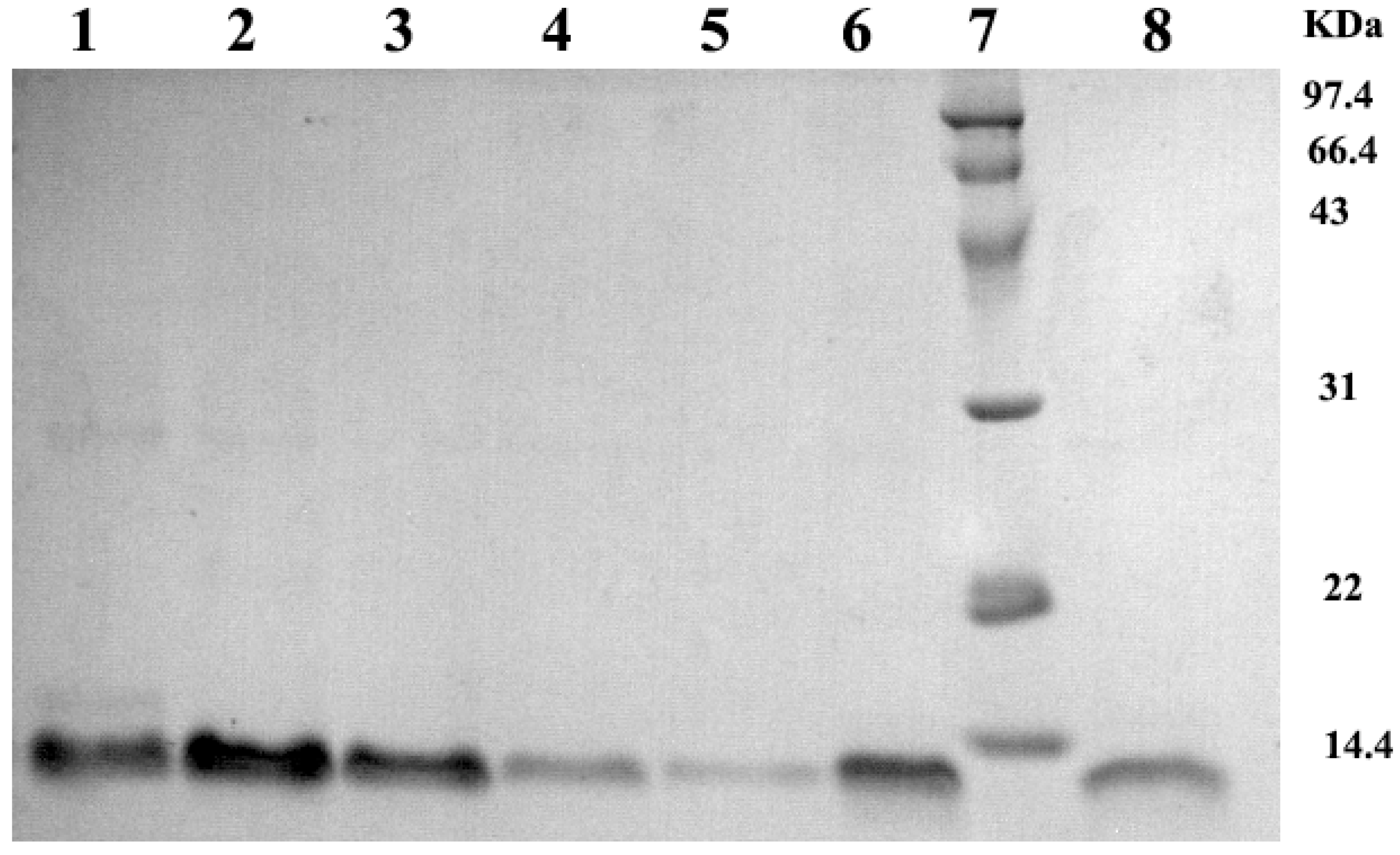 Ijms 23 09754 g001 550