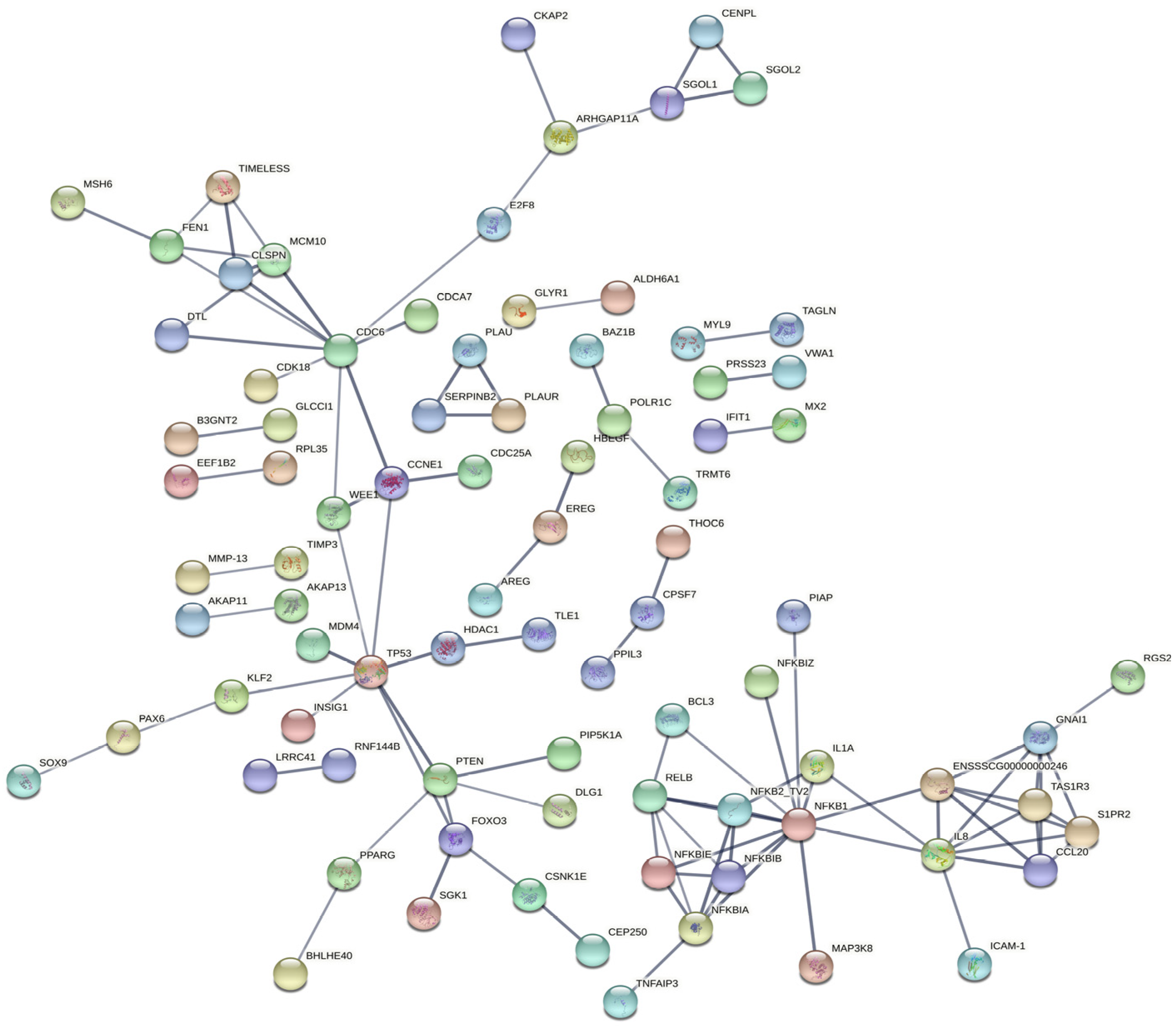 Ijms 23 09754 g004 550