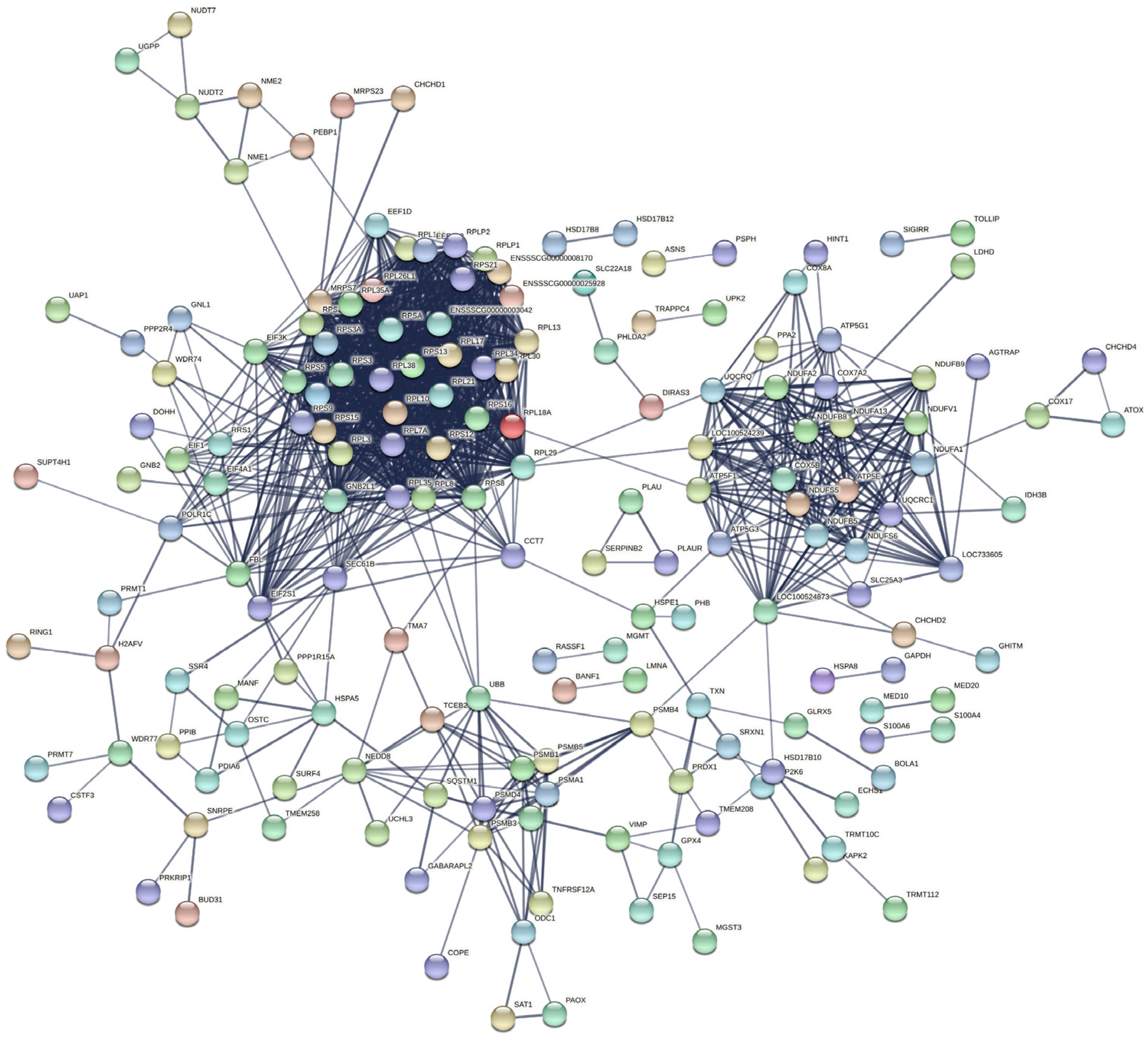 Ijms 23 09754 g007 550