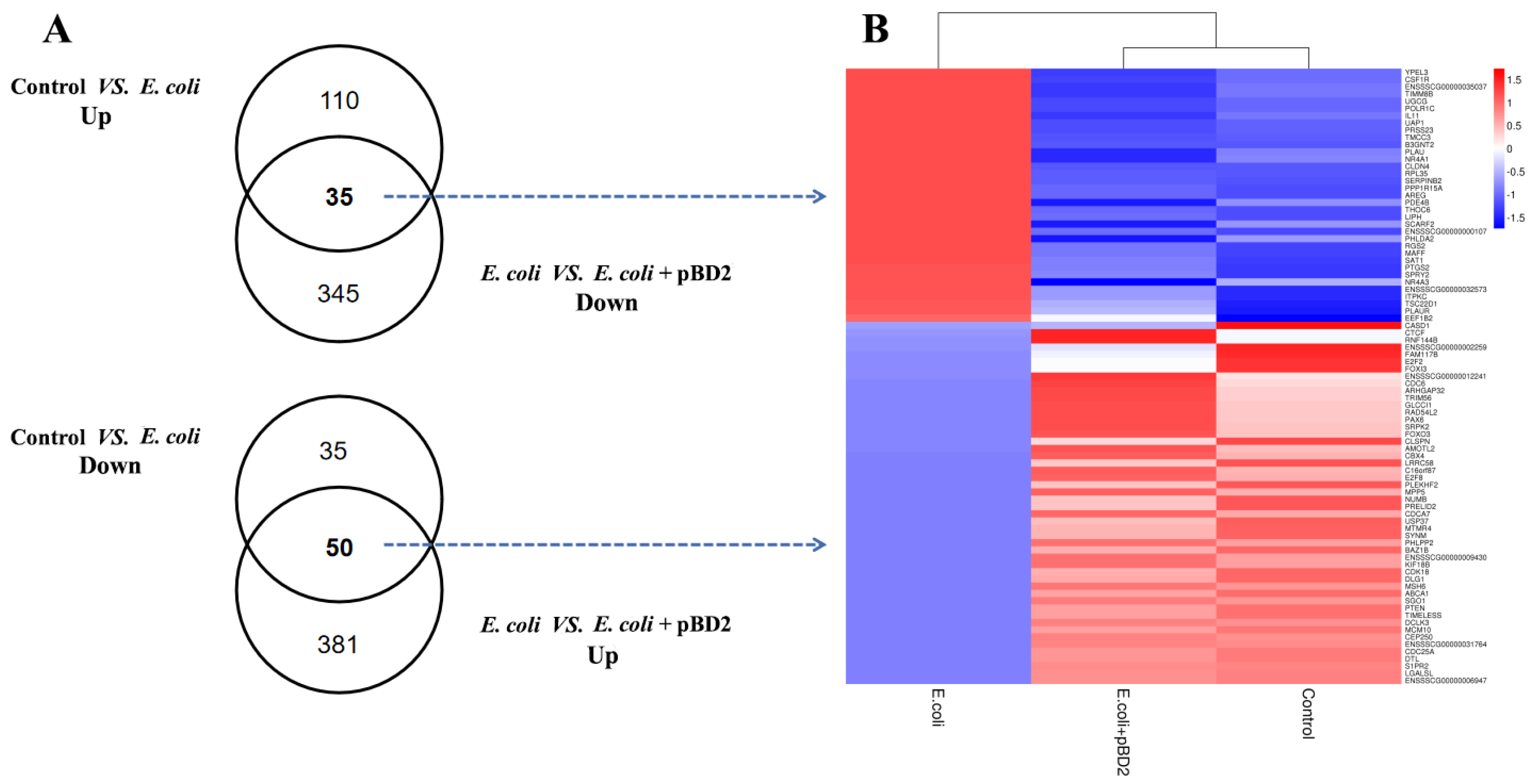 Ijms 23 09754 g008 550