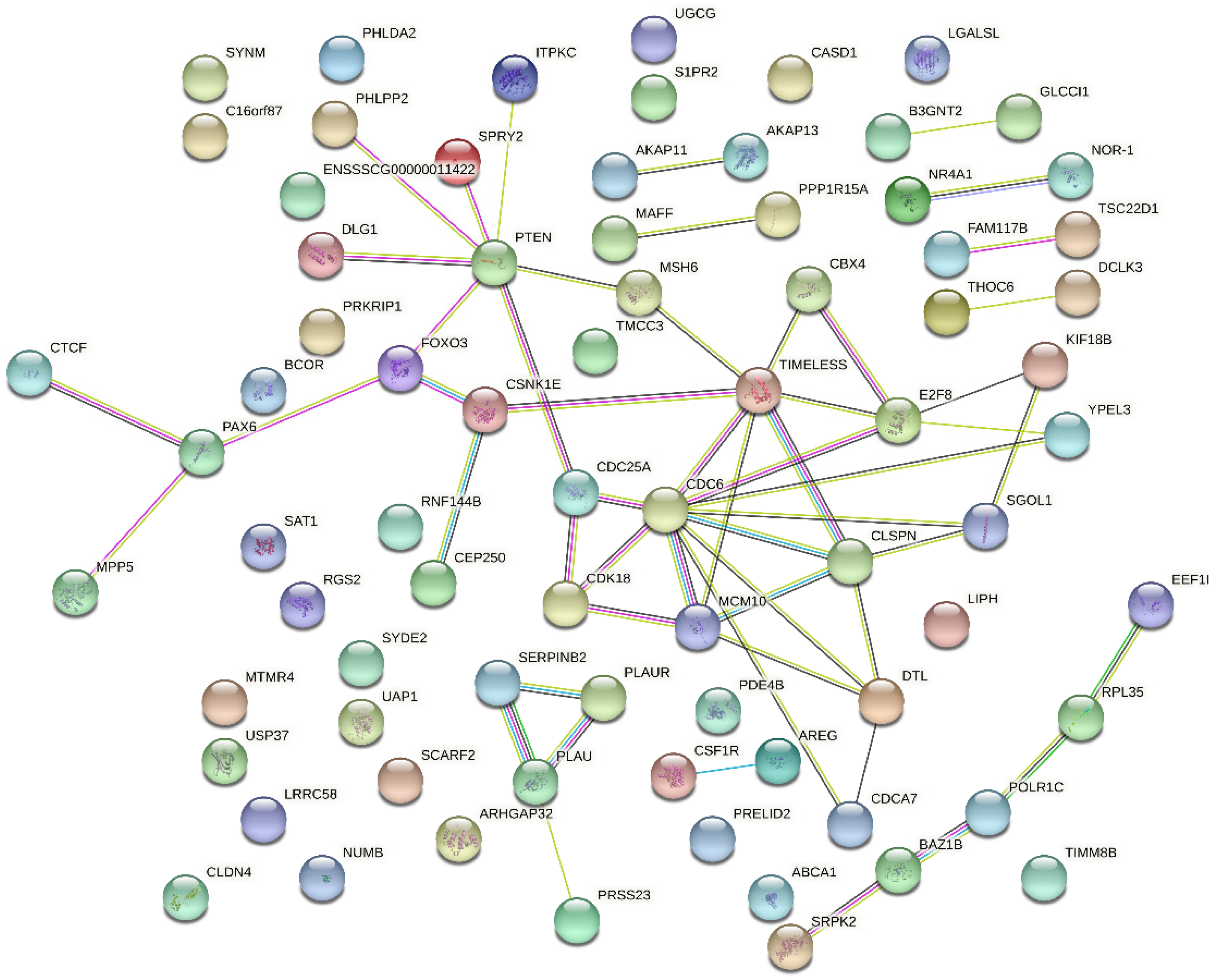 Ijms 23 09754 g010 550