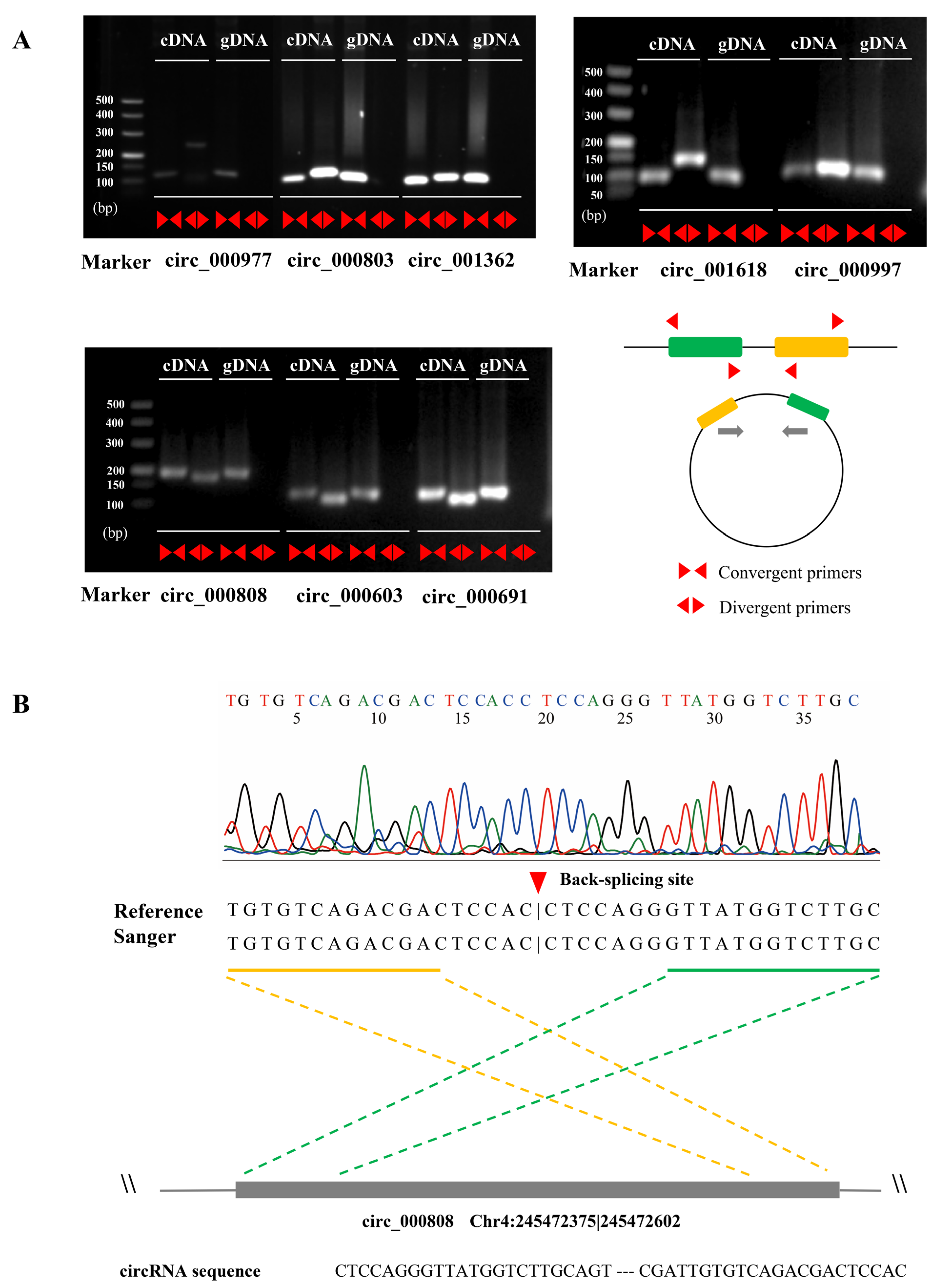Ijms 23 09755 g003 550