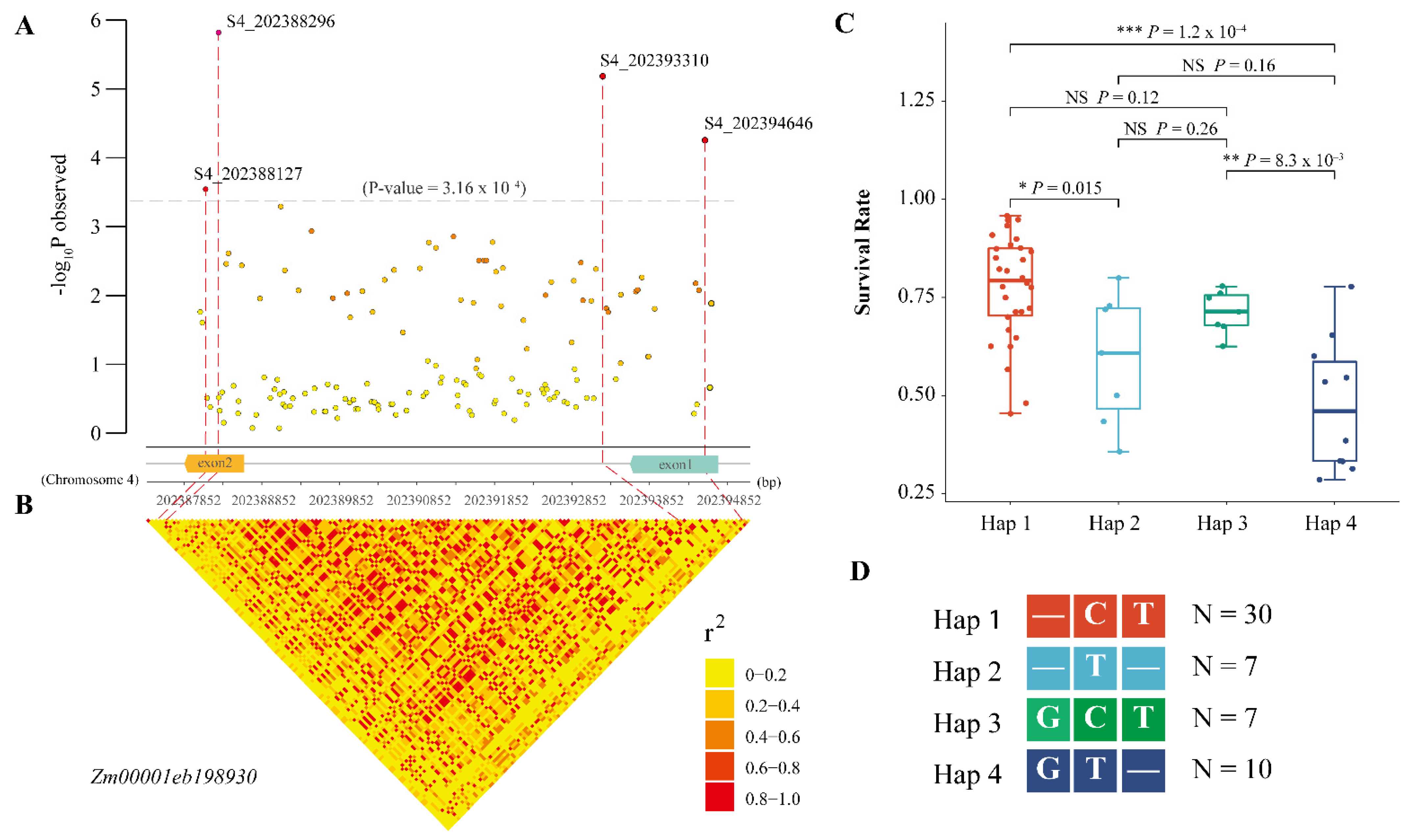 Ijms 23 09755 g006 550