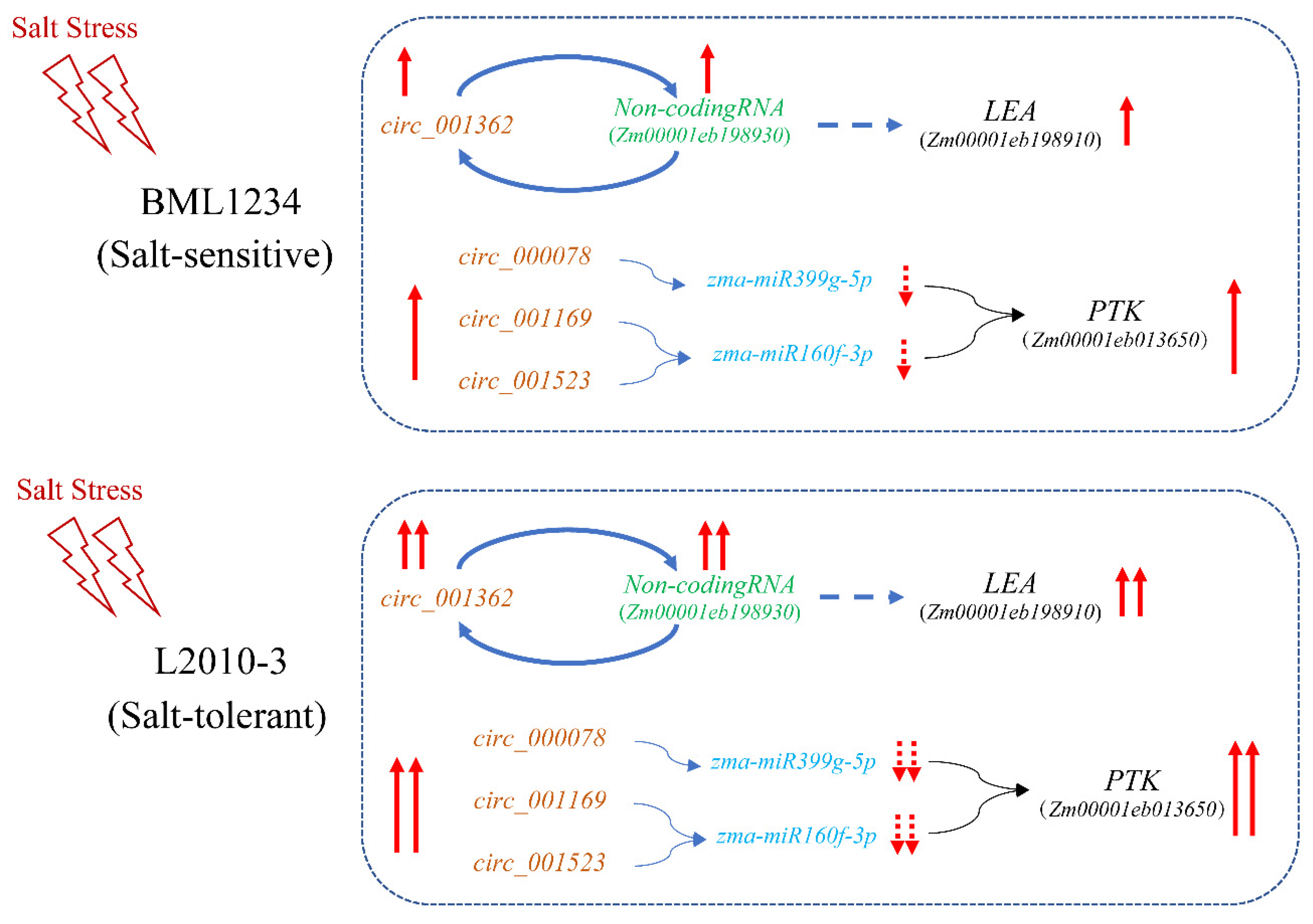 Ijms 23 09755 g007 550