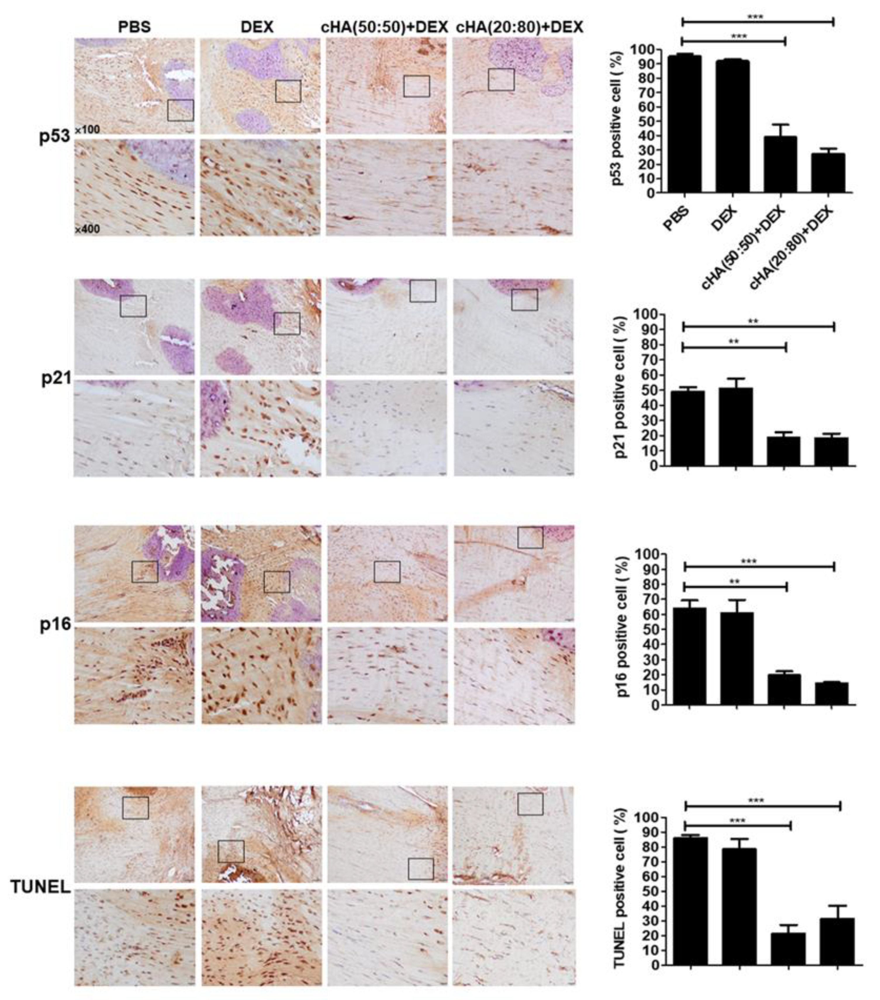 Ijms 23 09760 g006 550