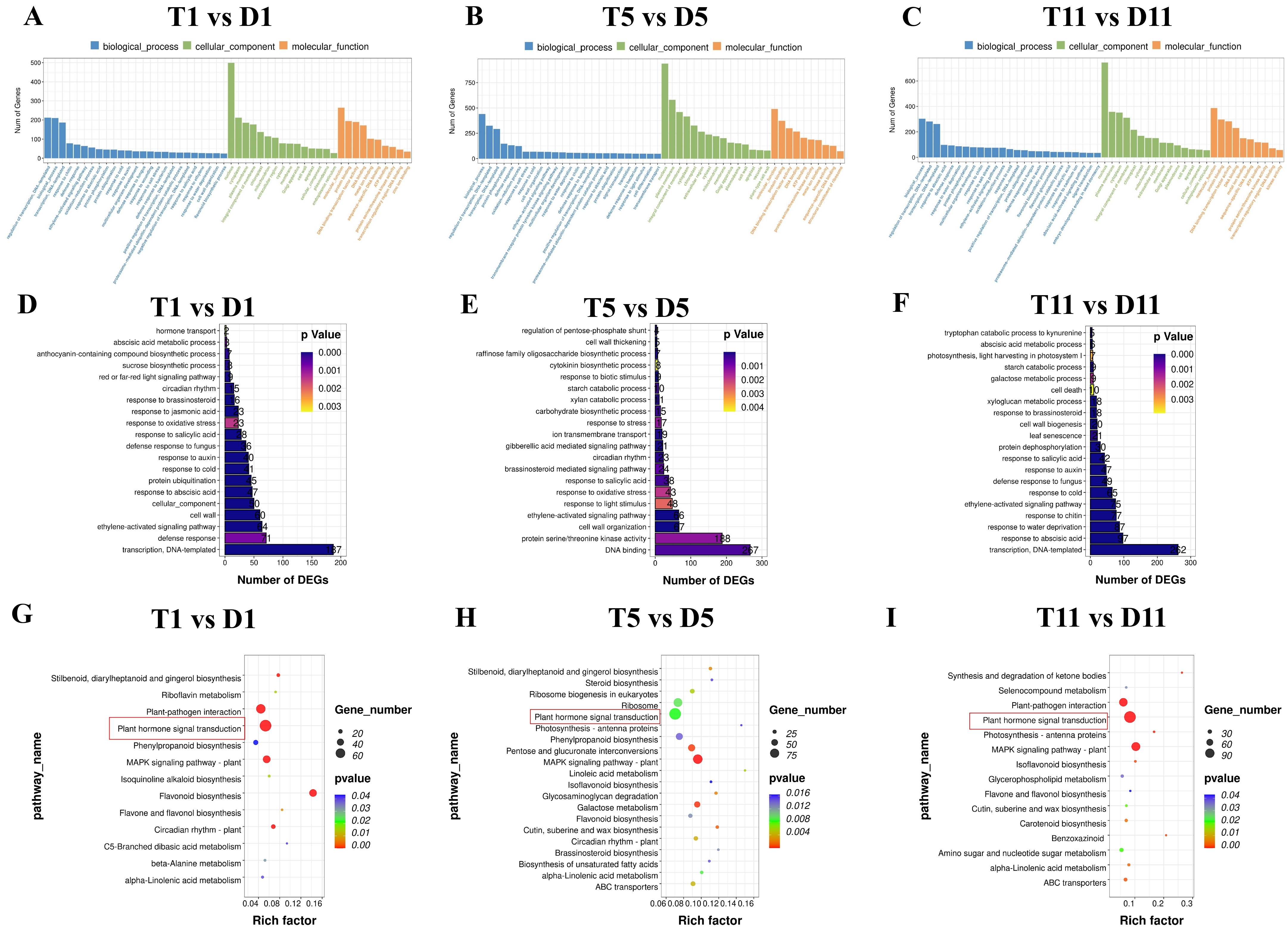 Ijms 23 09762 g003 550