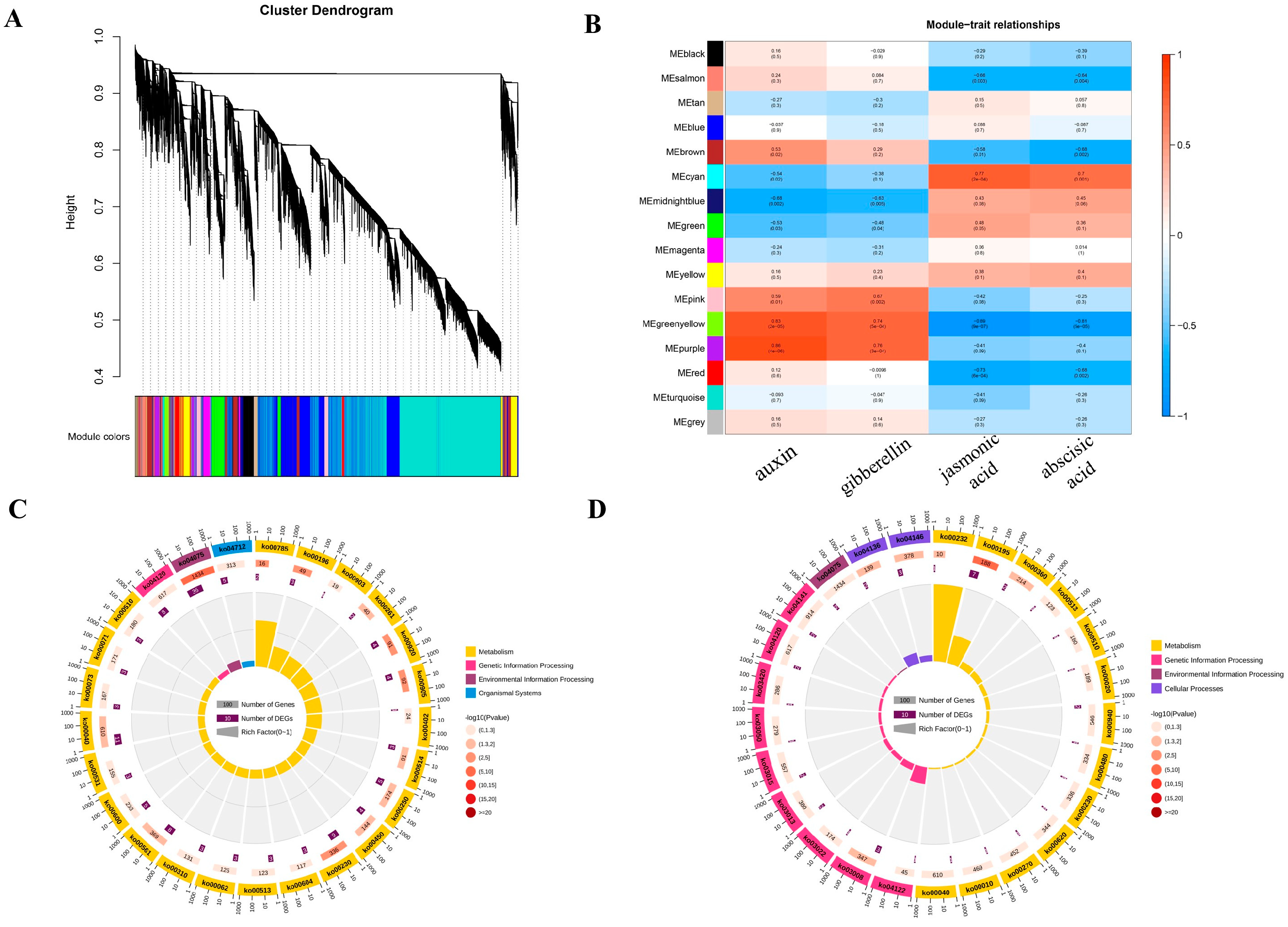 Ijms 23 09762 g005 550
