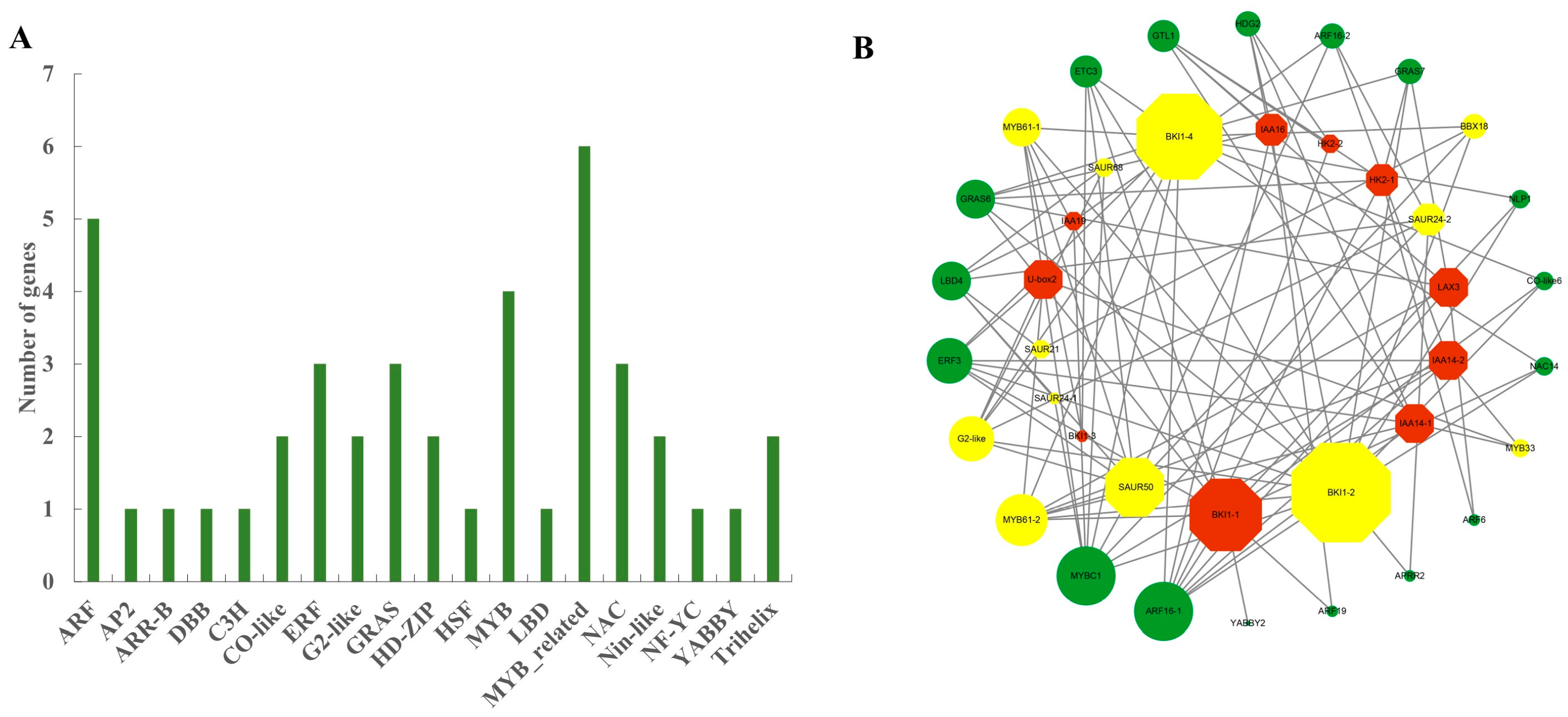 Ijms 23 09762 g006 550