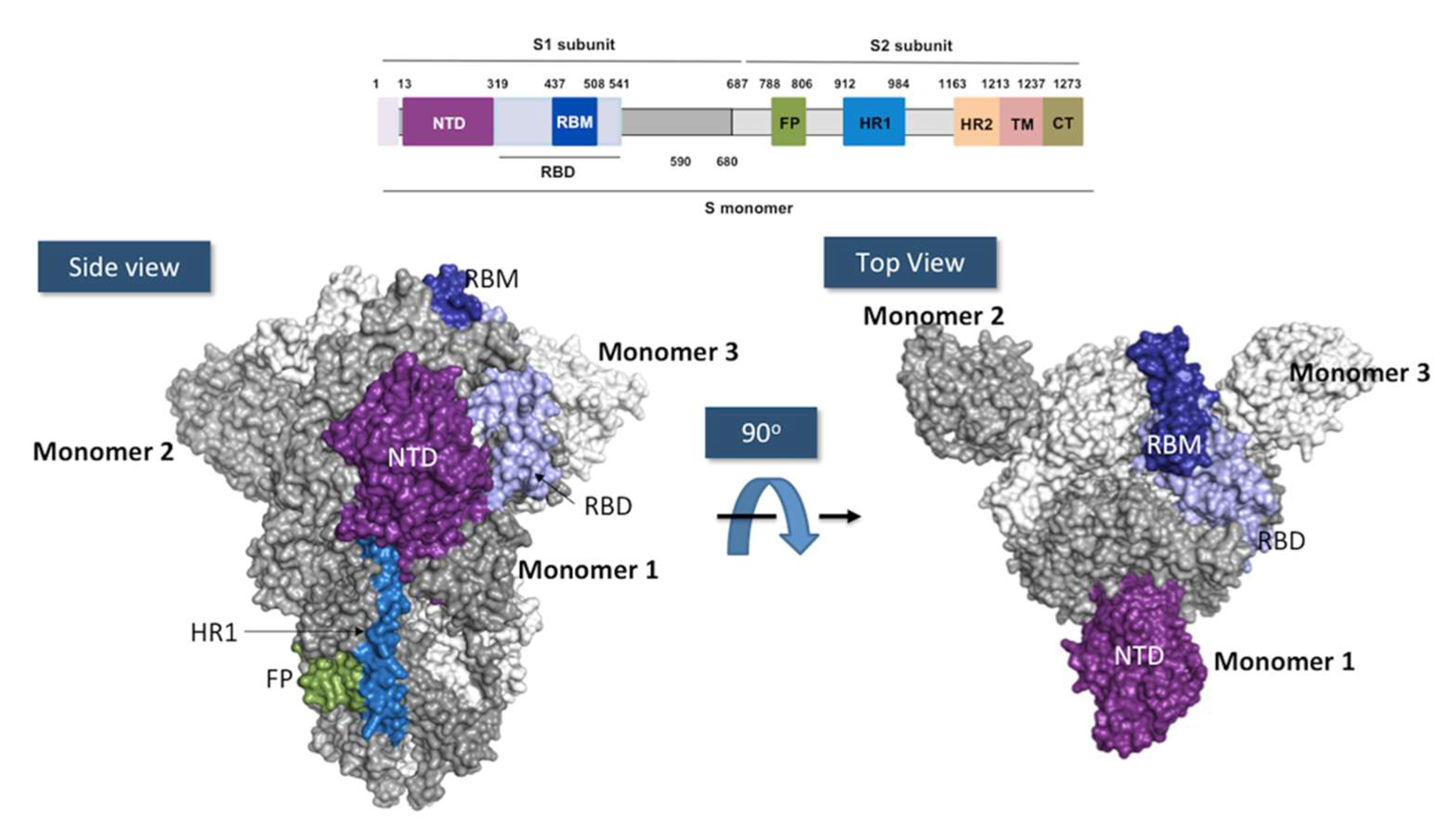 Ijms 23 09763 g003 550