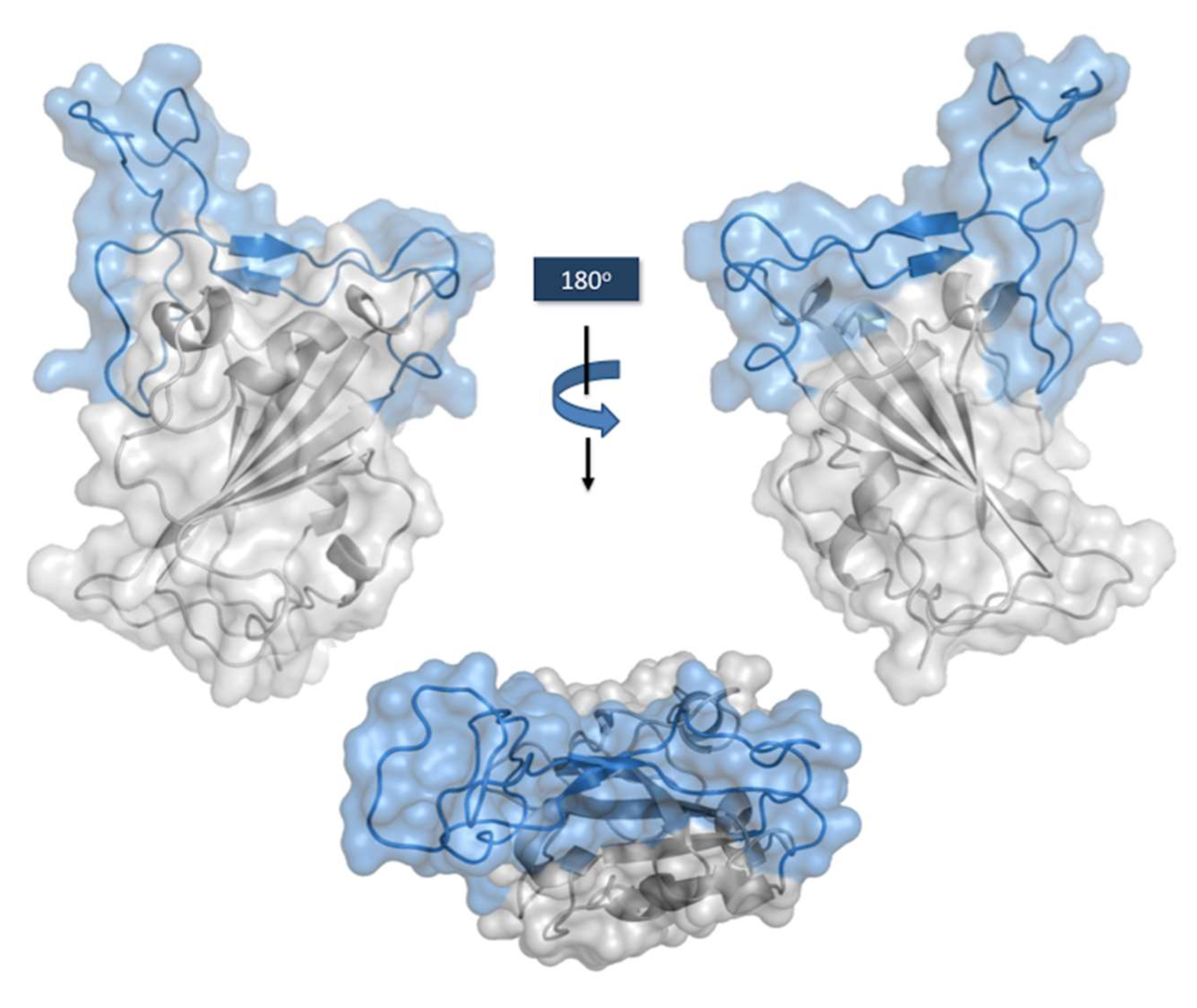 Ijms 23 09763 g004 550