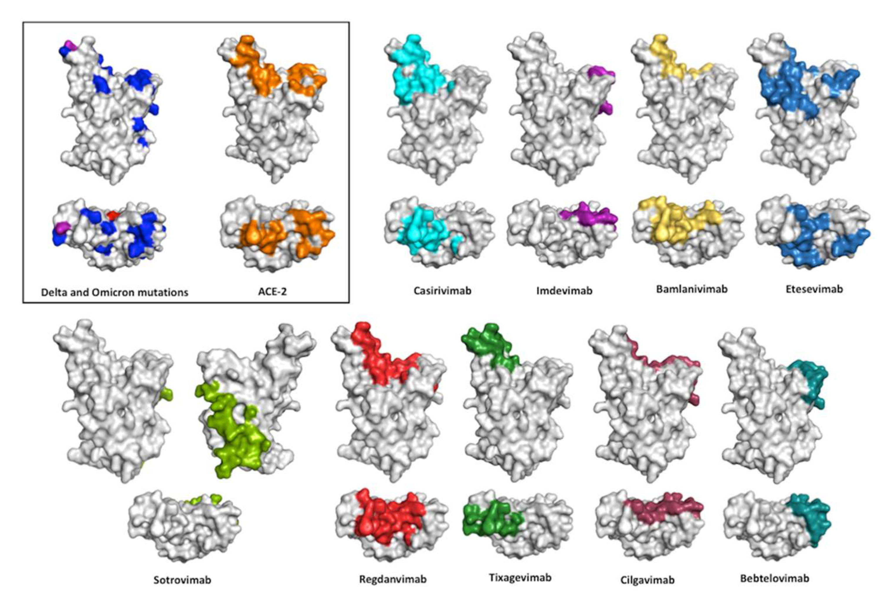 Ijms 23 09763 g006 550