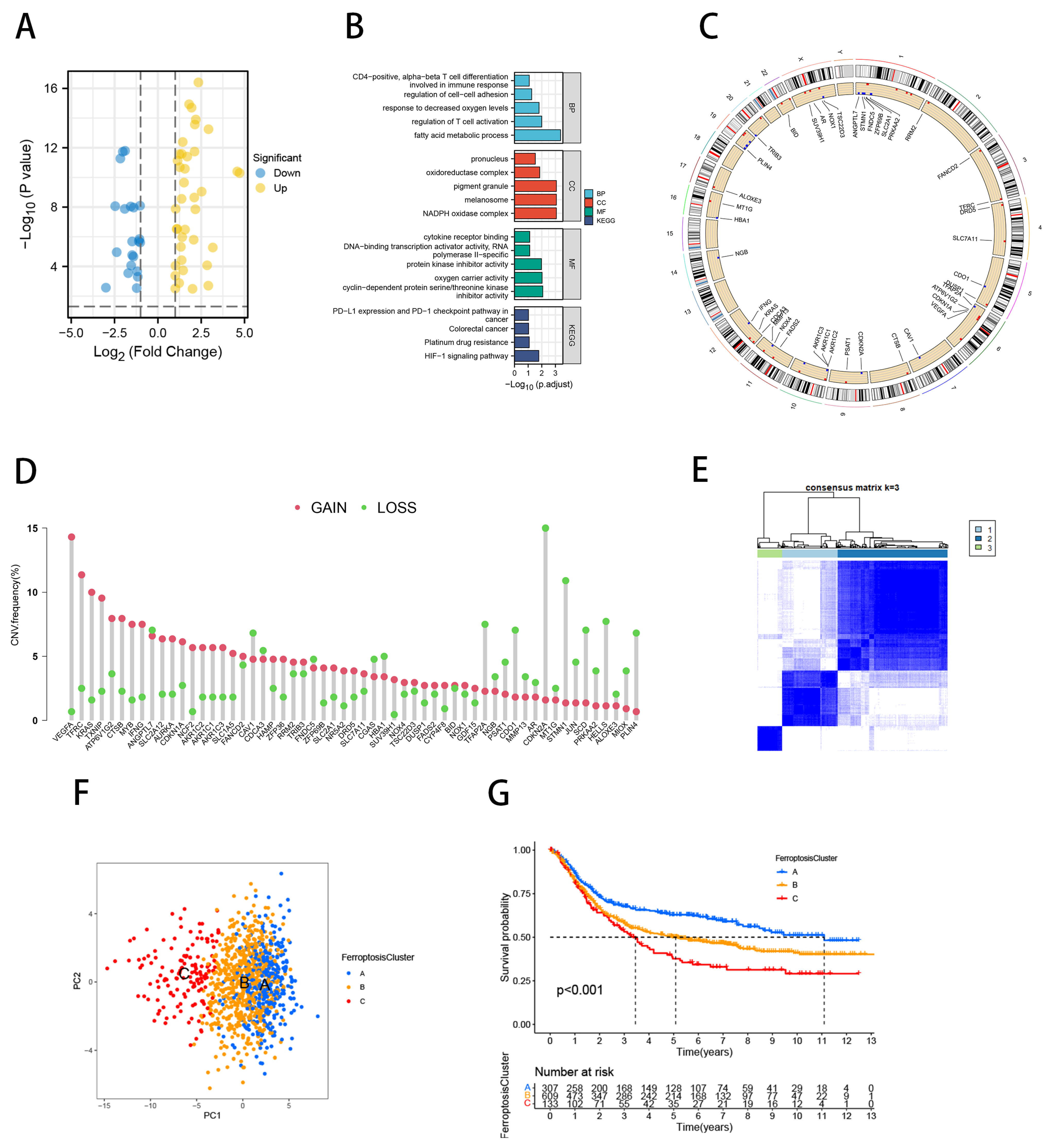 Ijms 23 09767 g001 550