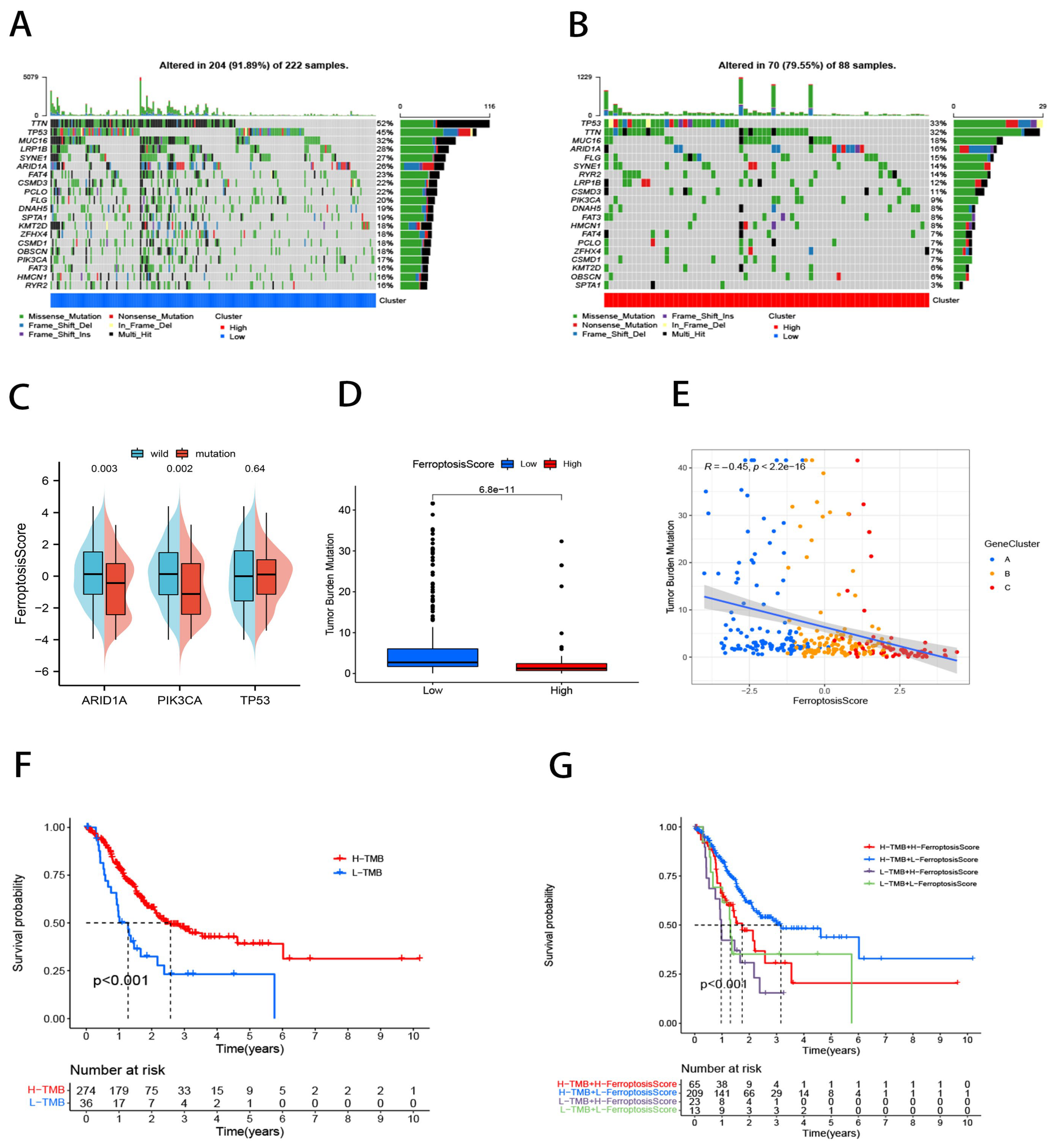 Ijms 23 09767 g006 550