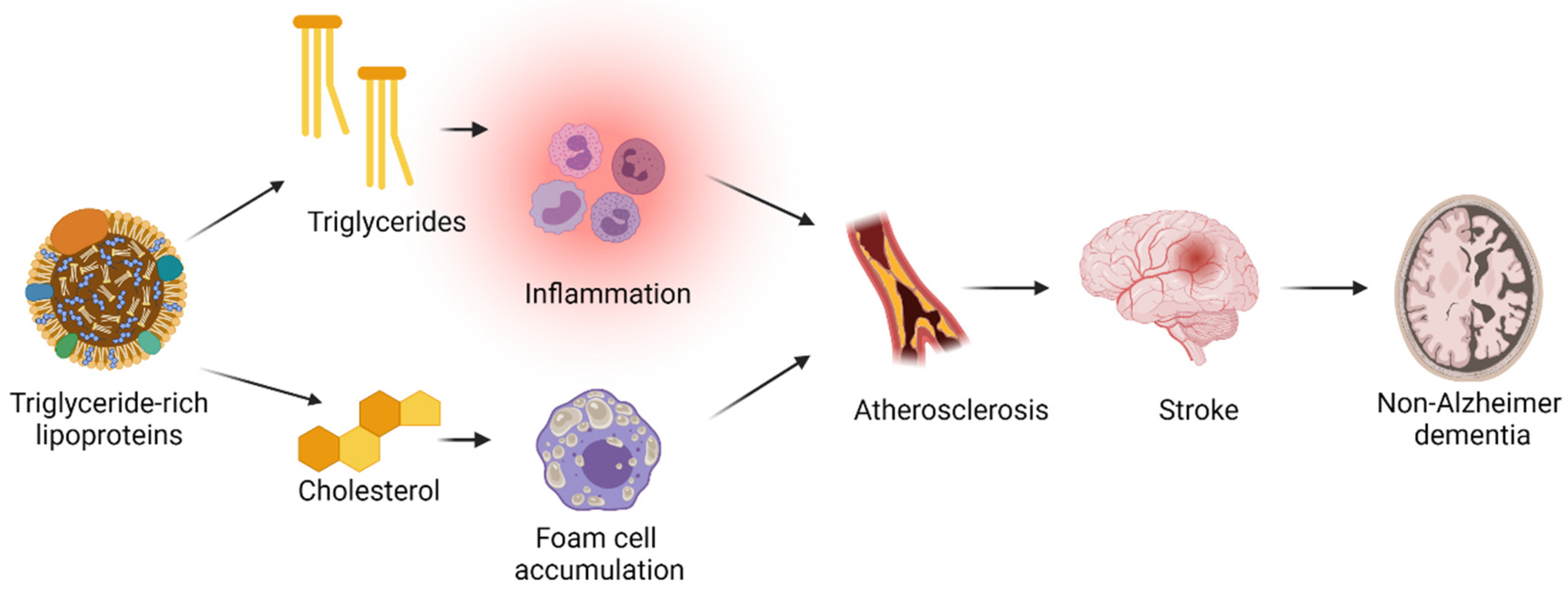 Ijms 23 09777 g003 550