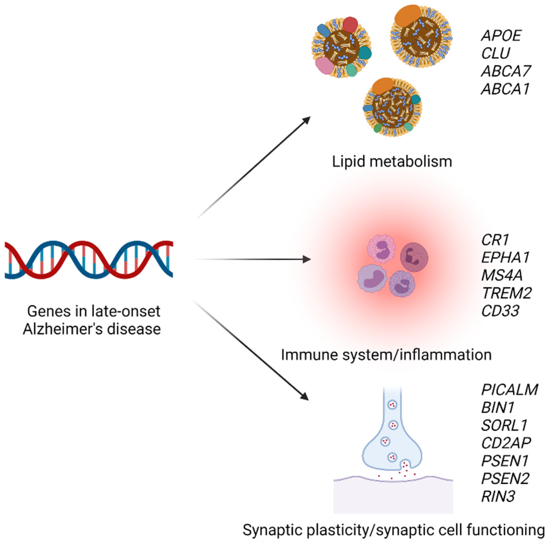 Ijms 23 09777 g005 550
