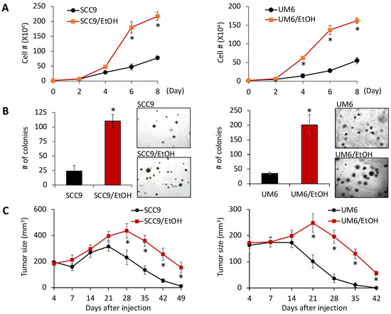 Chronic Alcohol Exposure Promotes Cancer Stemness and