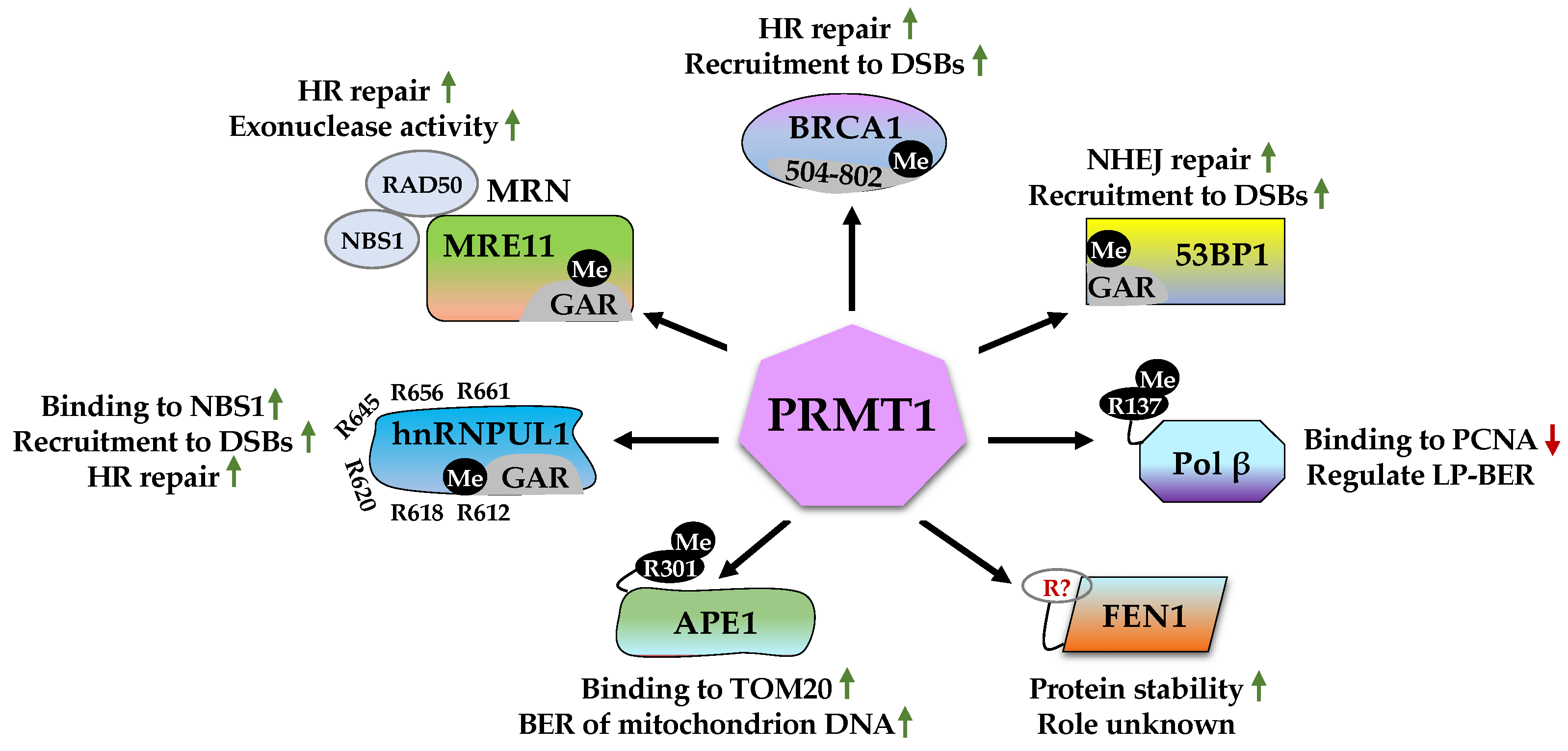 Ijms 23 09780 g002 Ijms 23 09780 g002