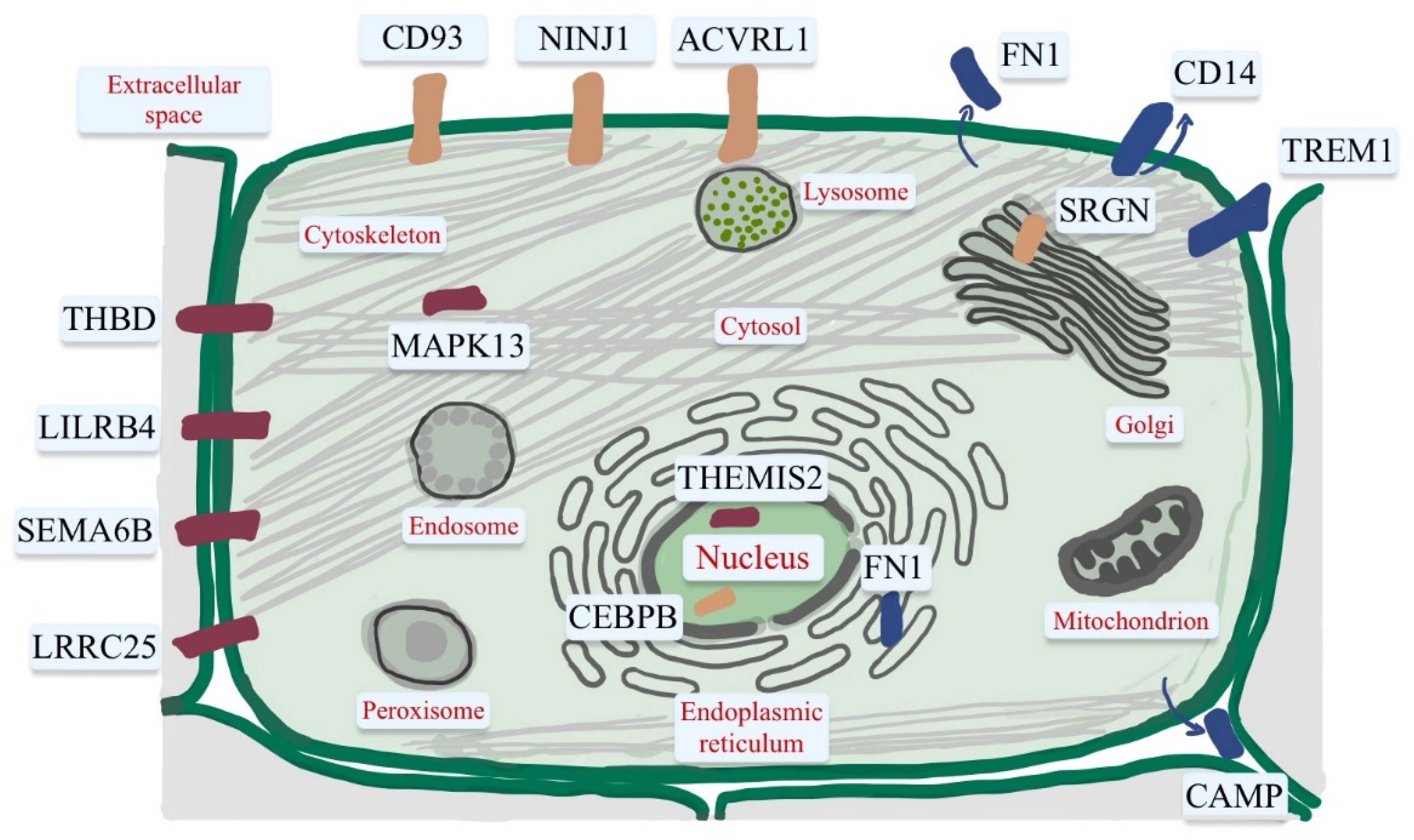 Ijms 23 09784 g002 Ijms 23 09784 g002