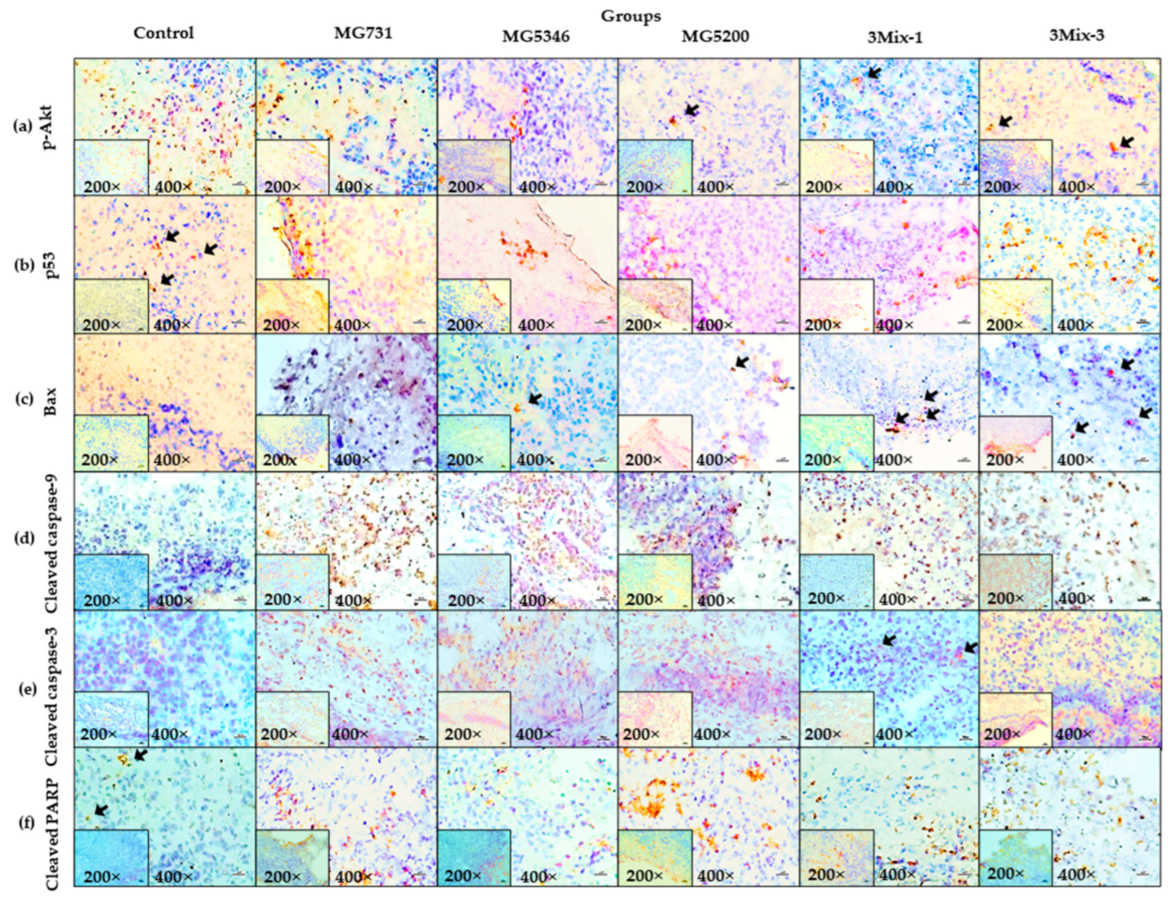 Ijms 23 09788 g006 550