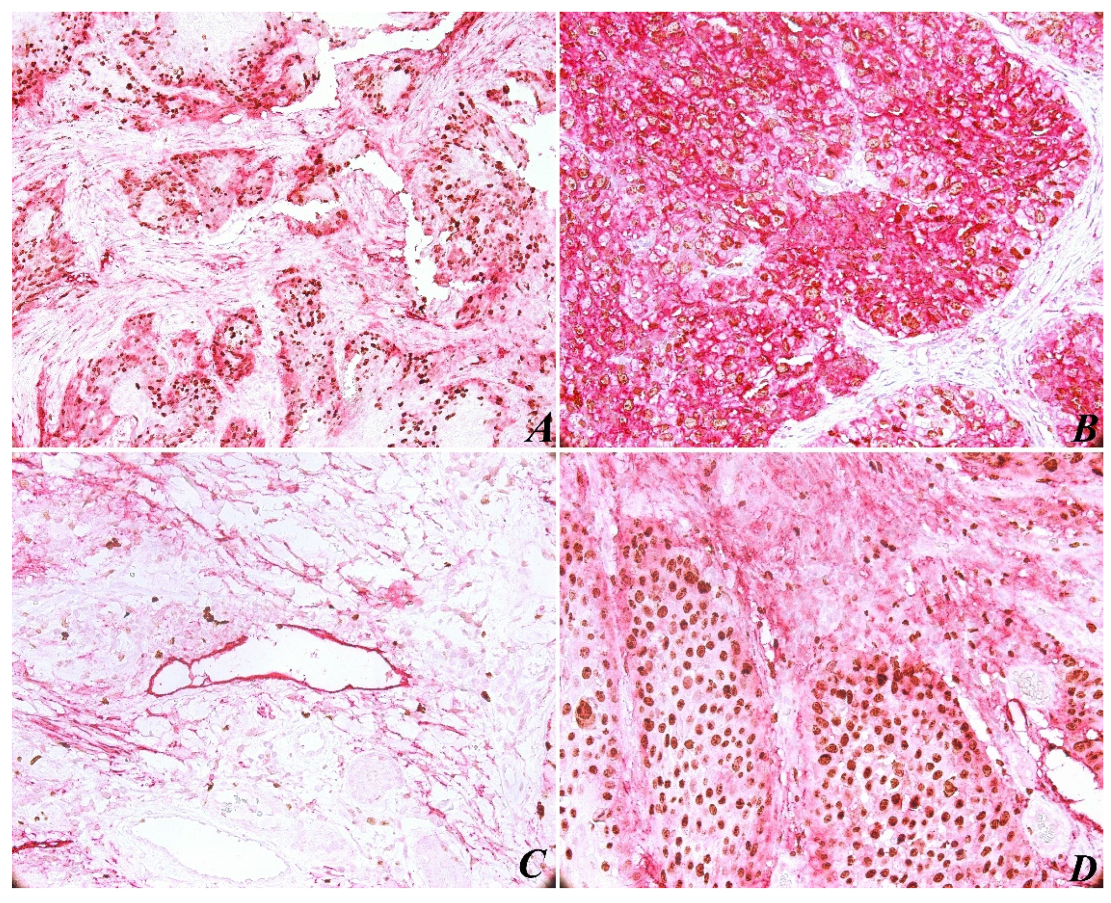 Ijms 23 09793 g001 550