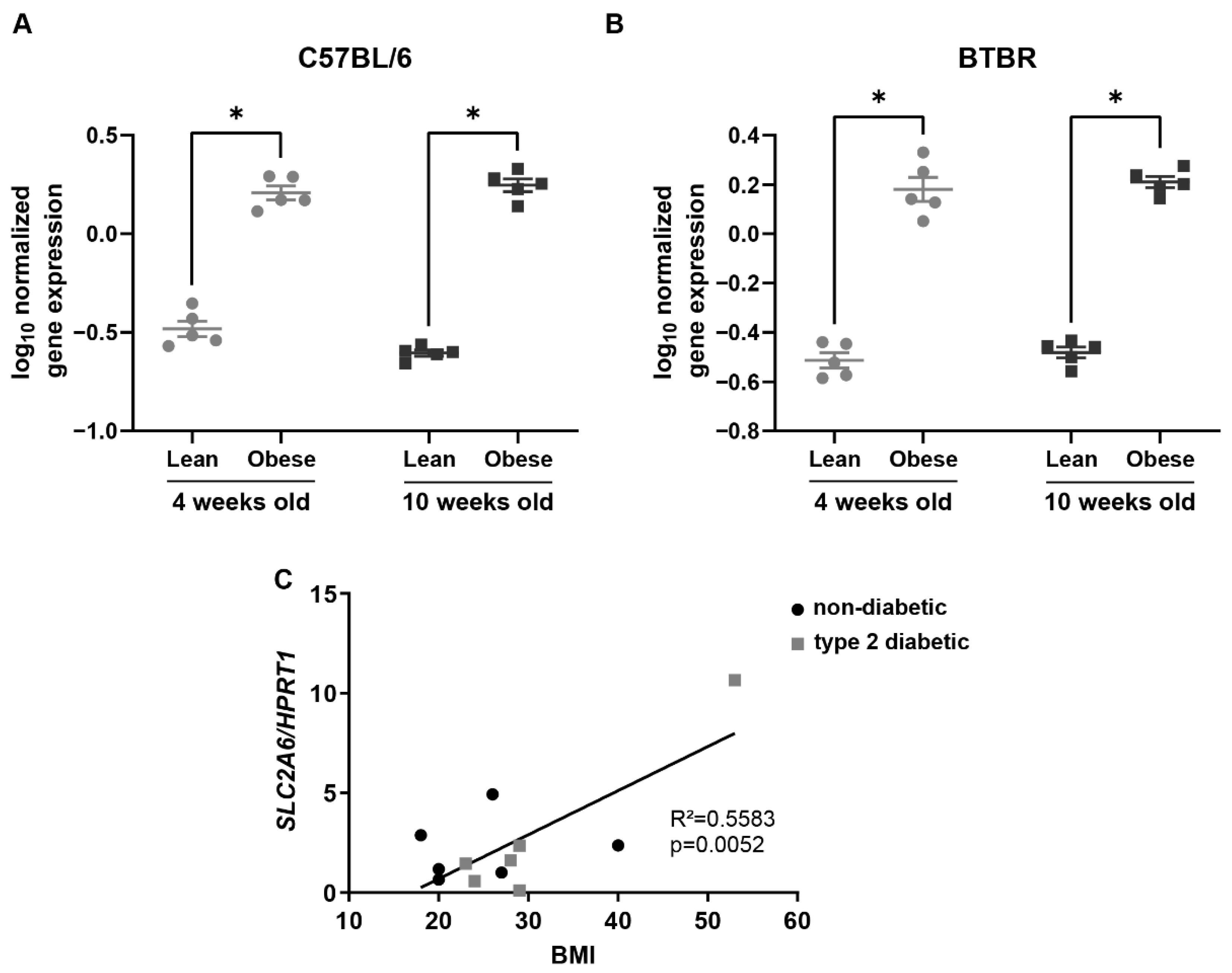 Ijms 23 09798 g001 550