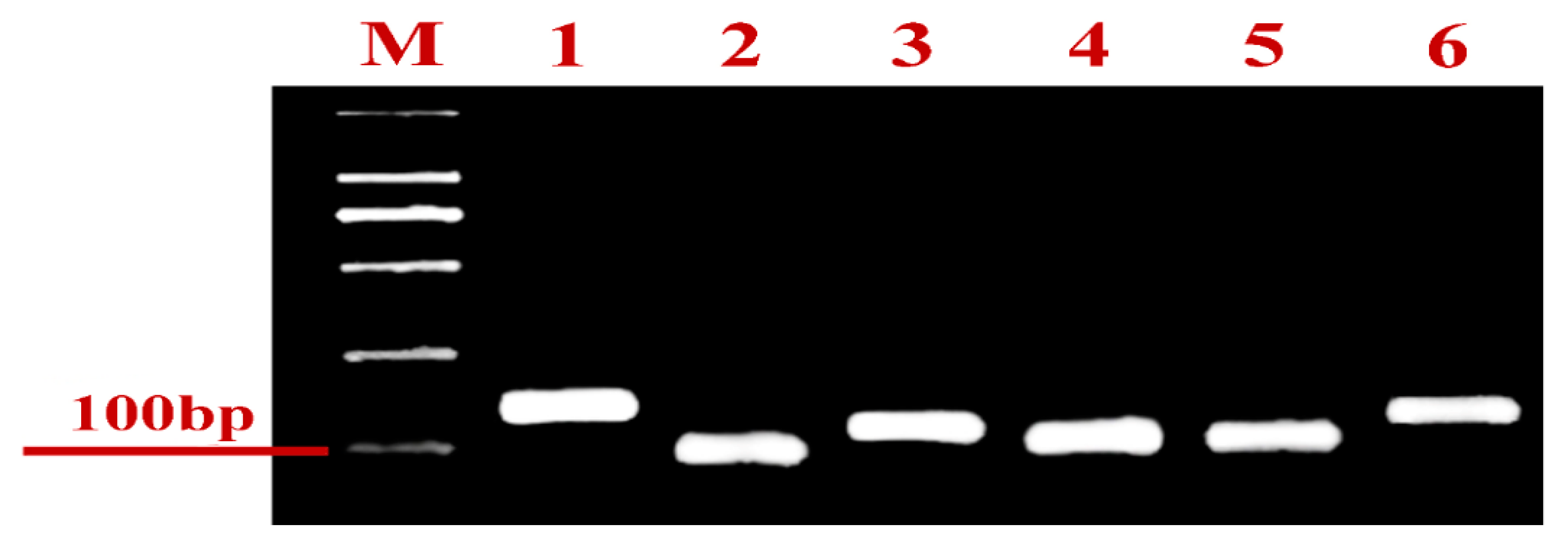 Ijms 23 09800 g004 Ijms 23 09800 g004