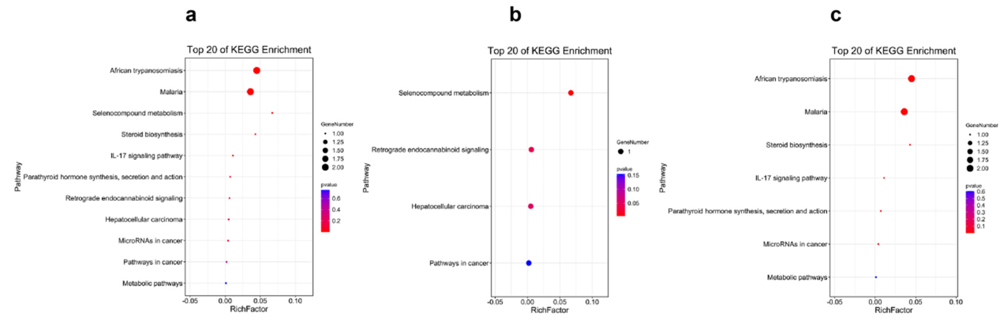 Ijms 23 09801 g004 550