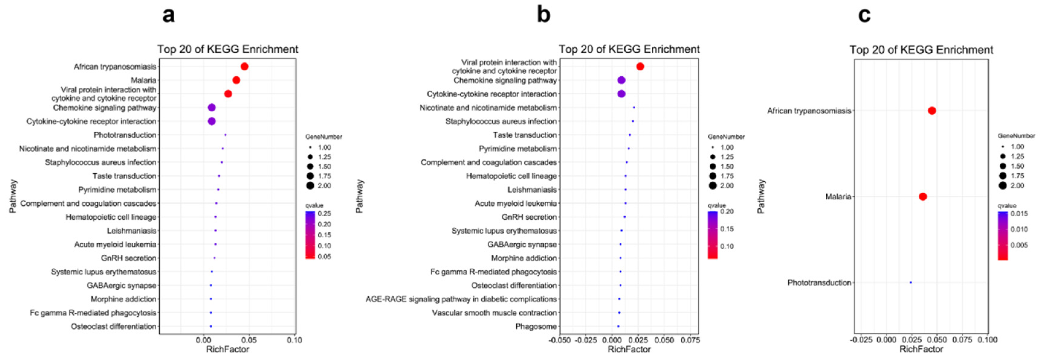 Ijms 23 09801 g006 550