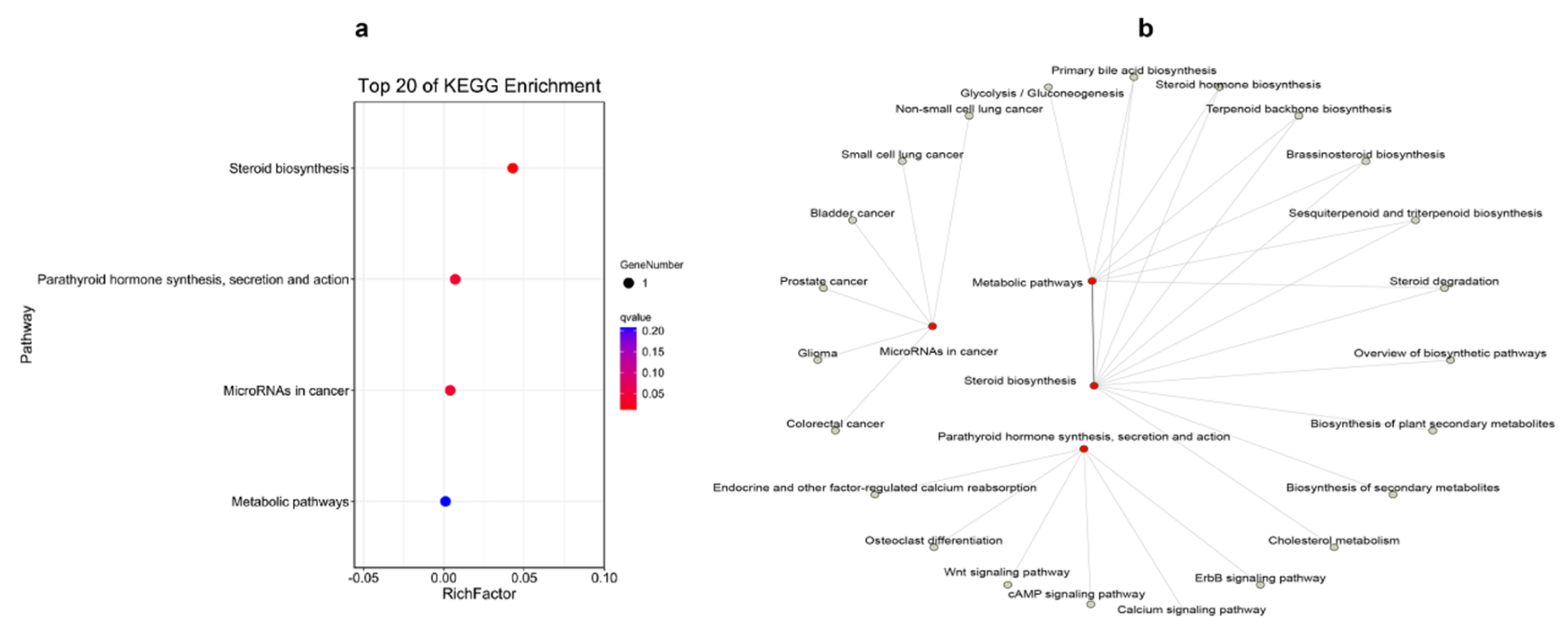 Ijms 23 09801 g007 550