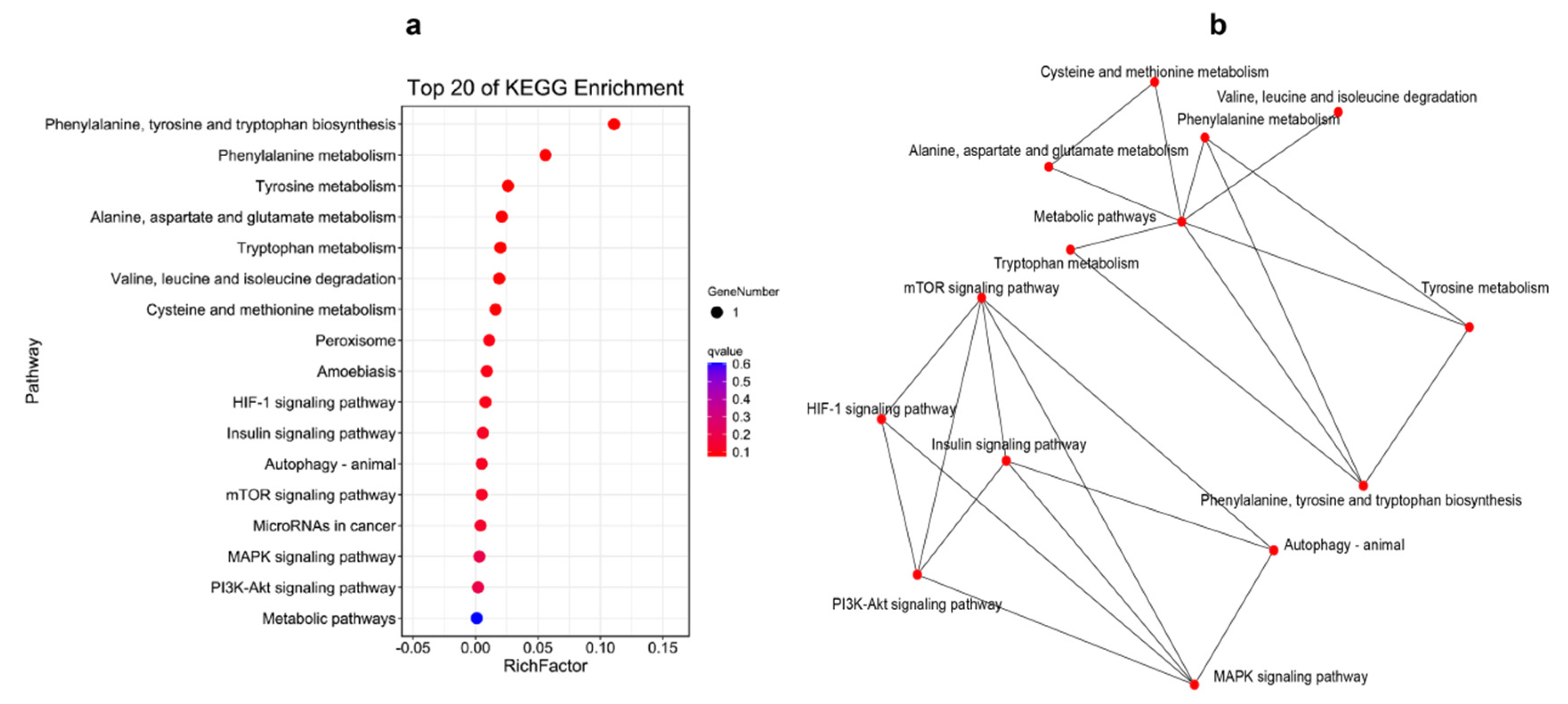 Ijms 23 09801 g008 550