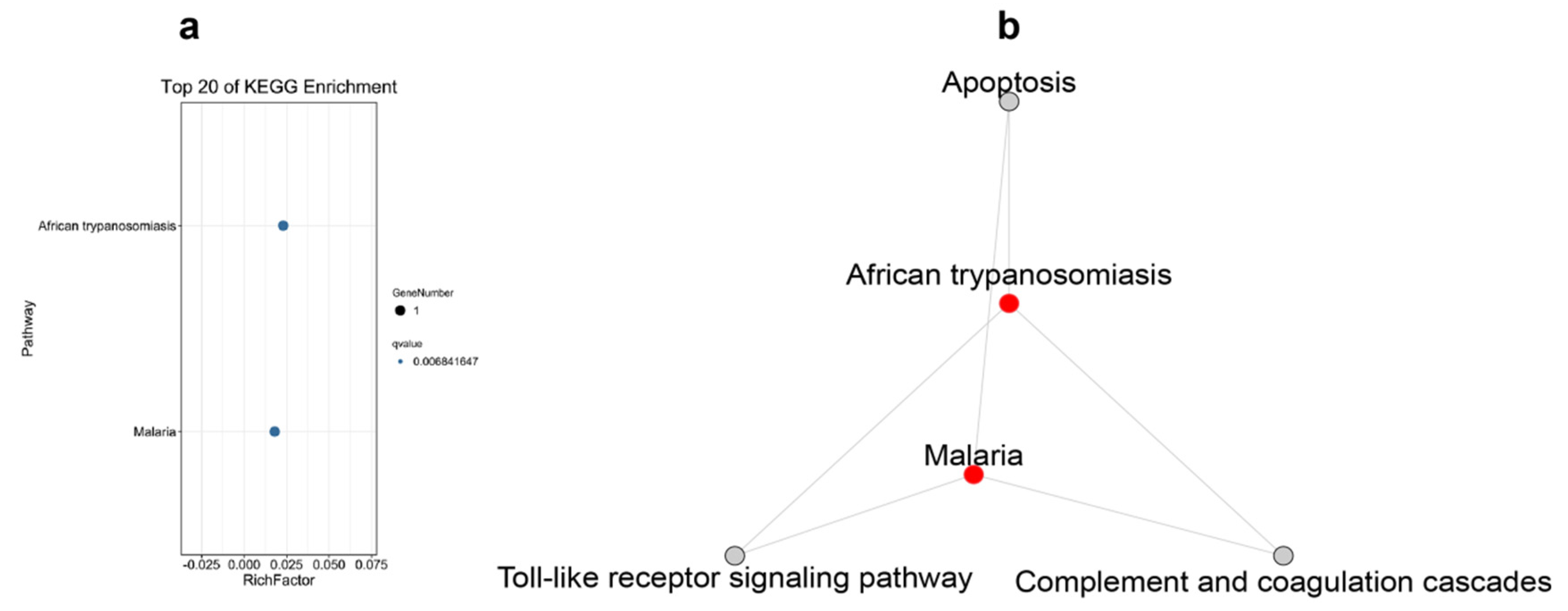 Ijms 23 09801 g009 550