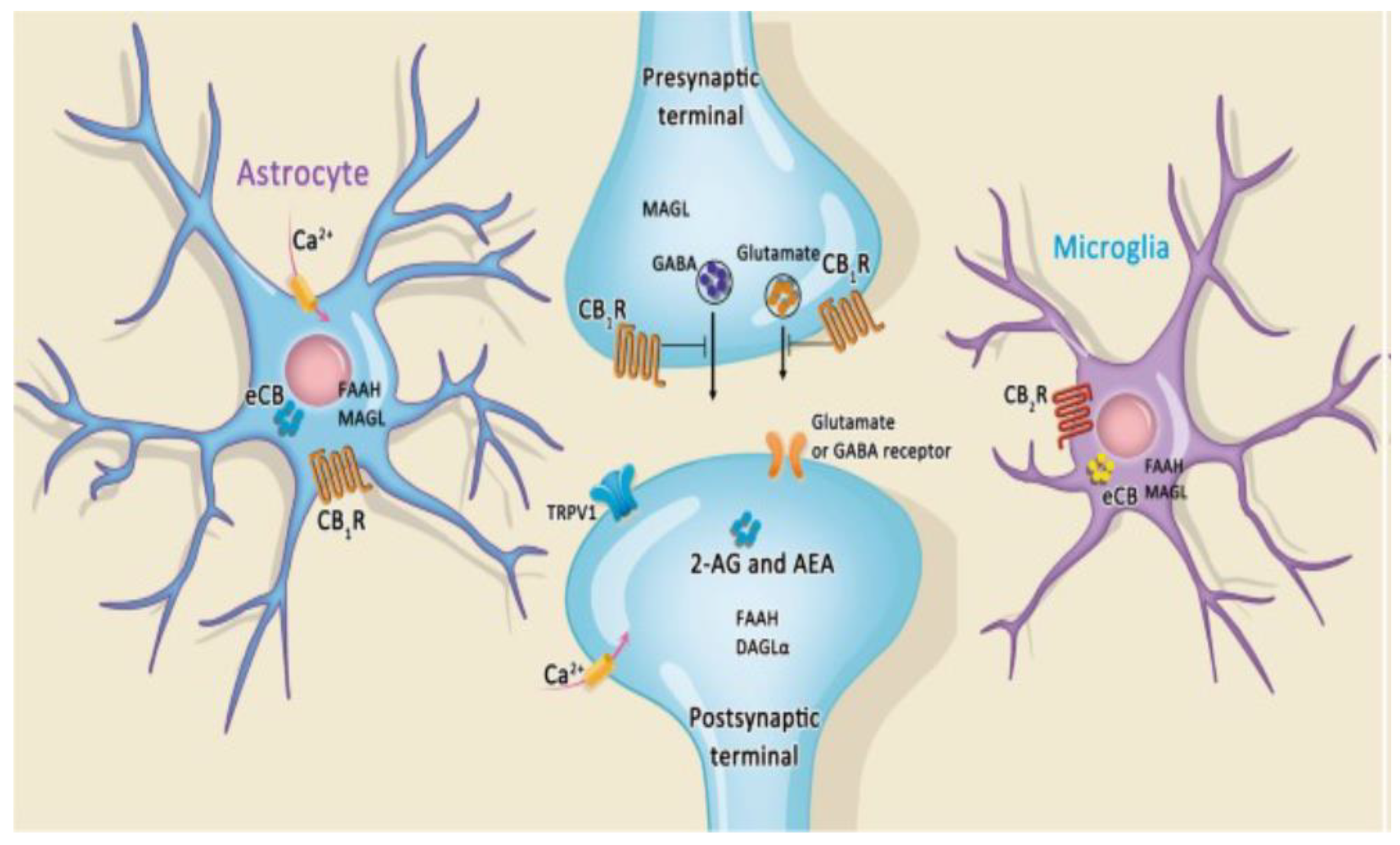 Ijms 23 09803 g004 550