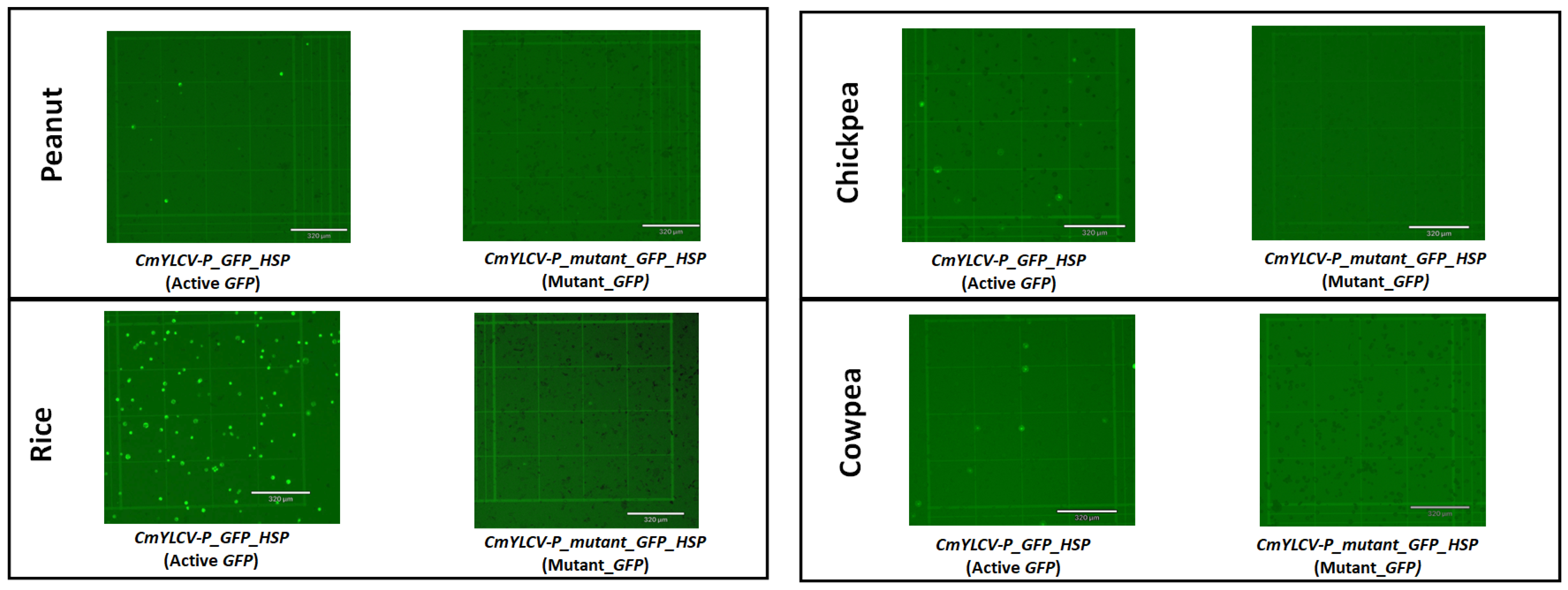 Ijms 23 09809 g002 550