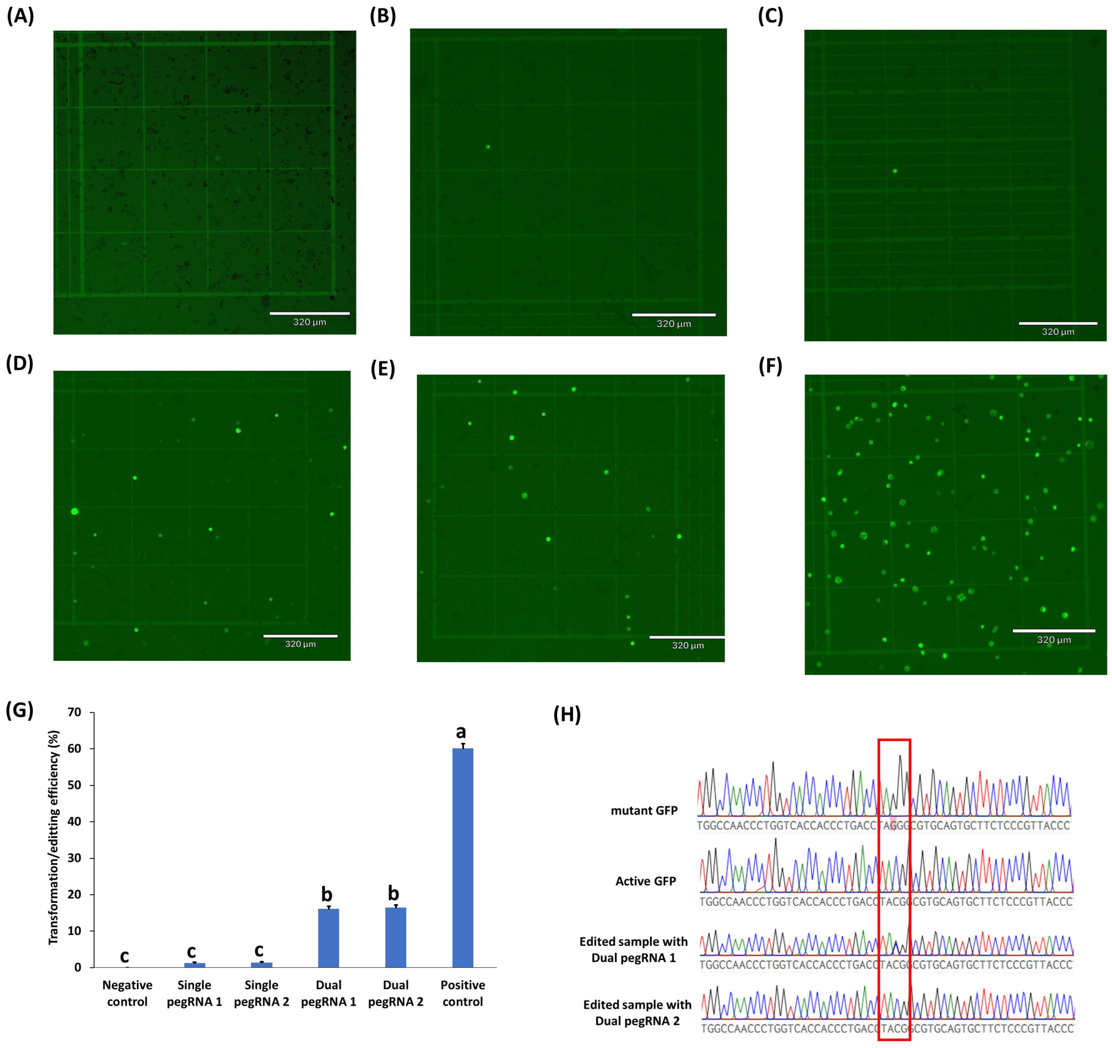 Ijms 23 09809 g003 550