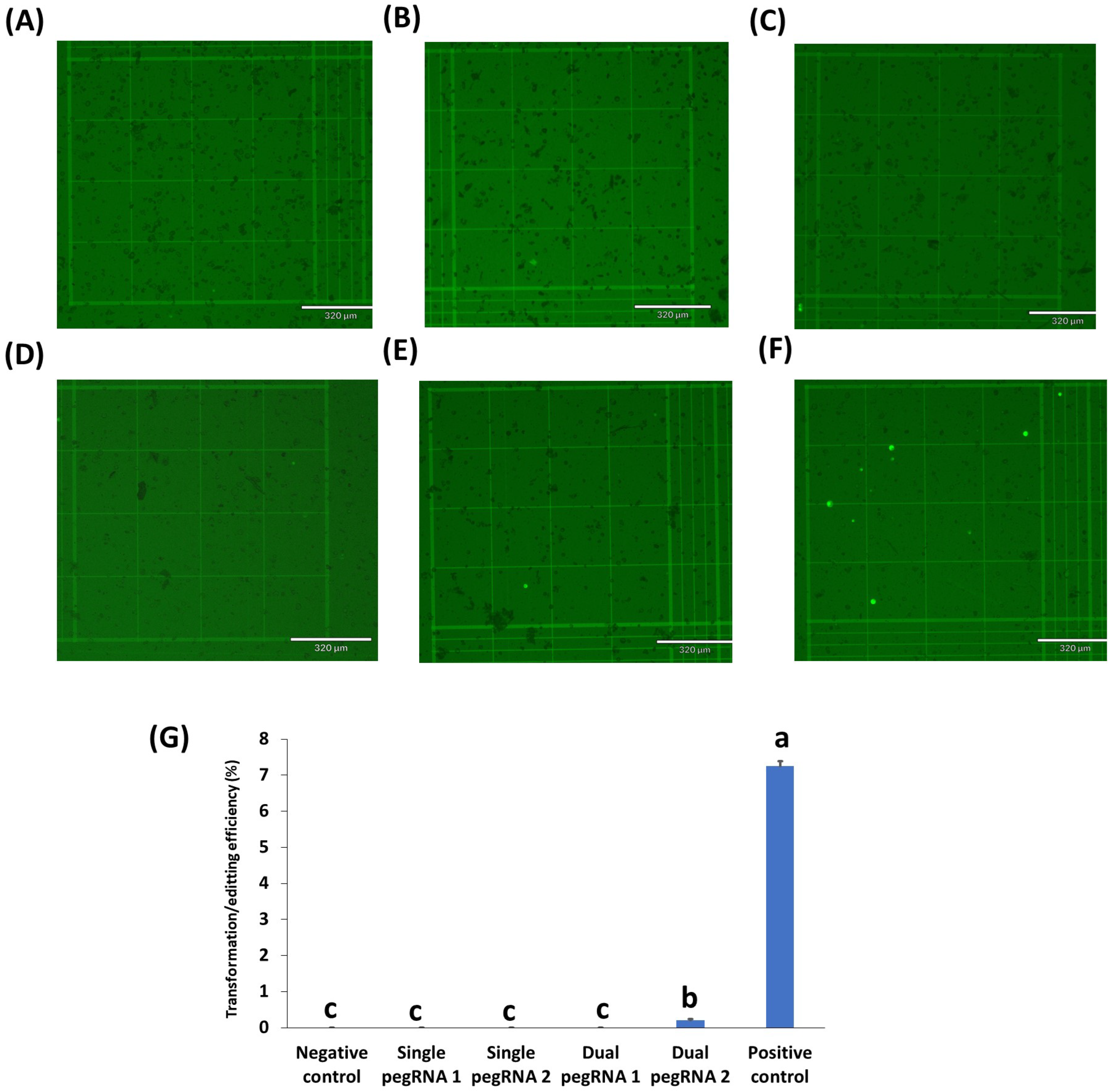 Ijms 23 09809 g004 550