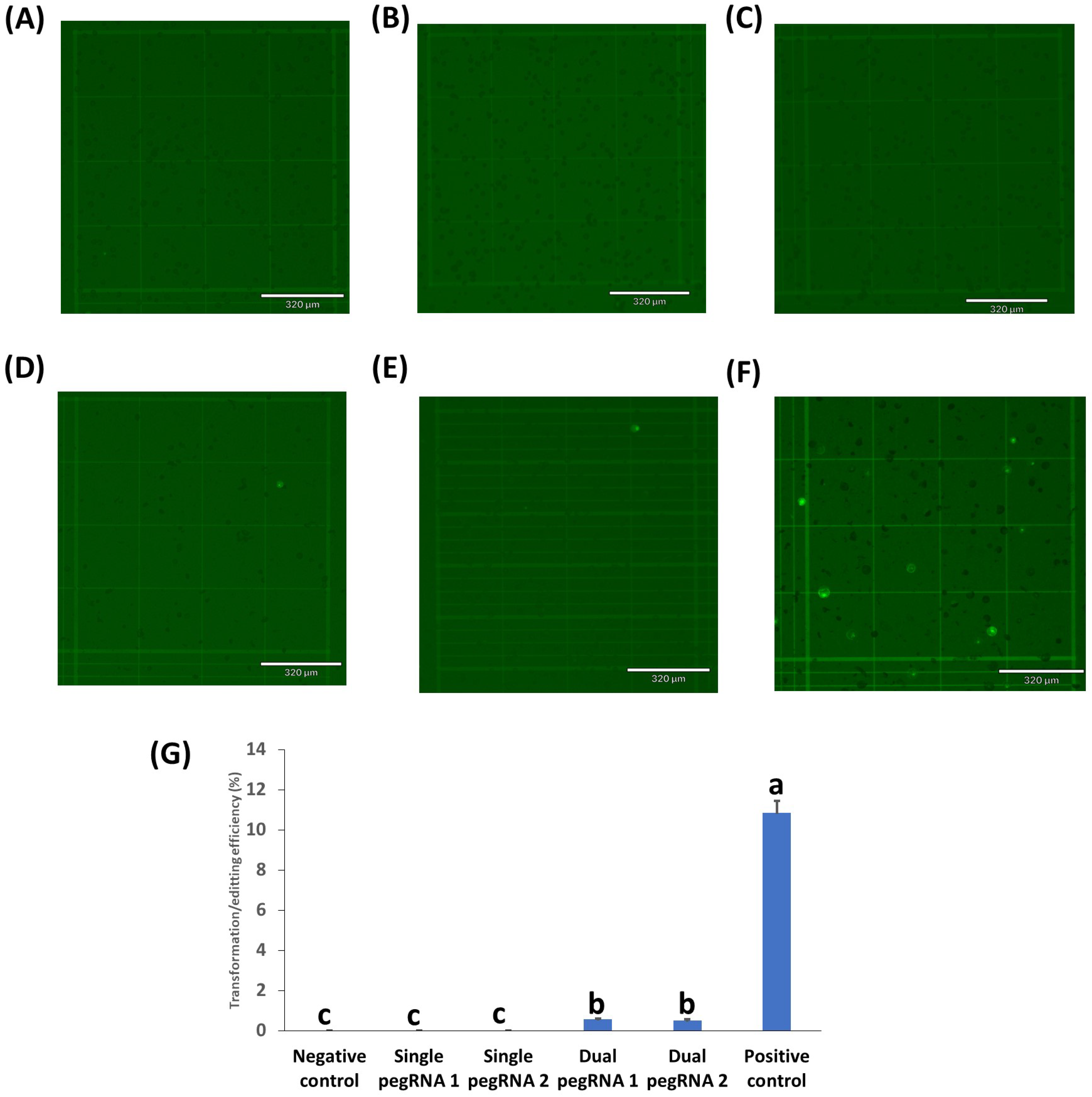 Ijms 23 09809 g005 550