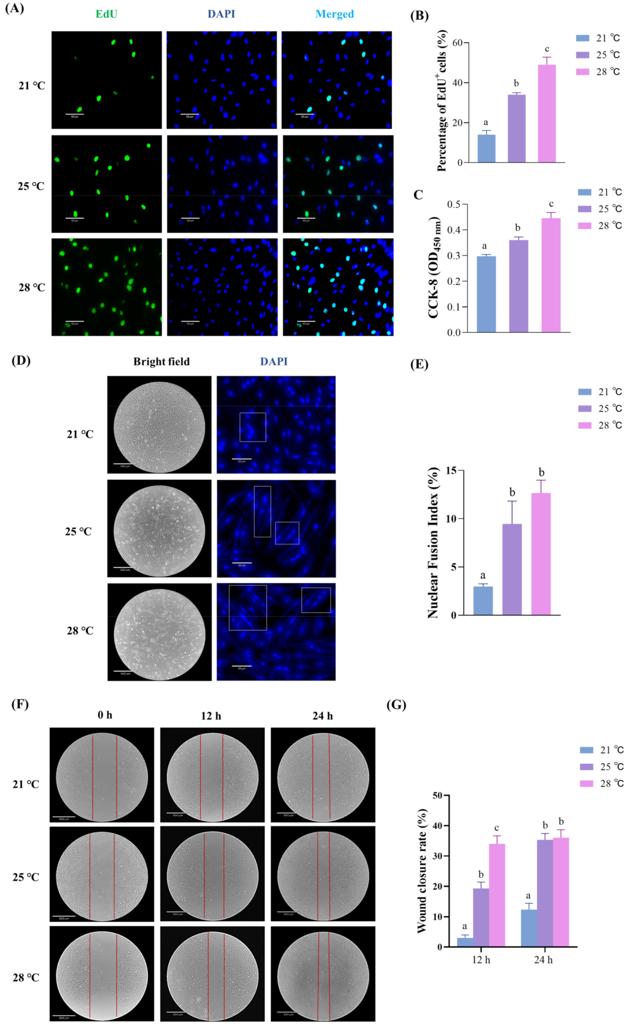 Ijms 23 09812 g001 Ijms 23 09812 g001