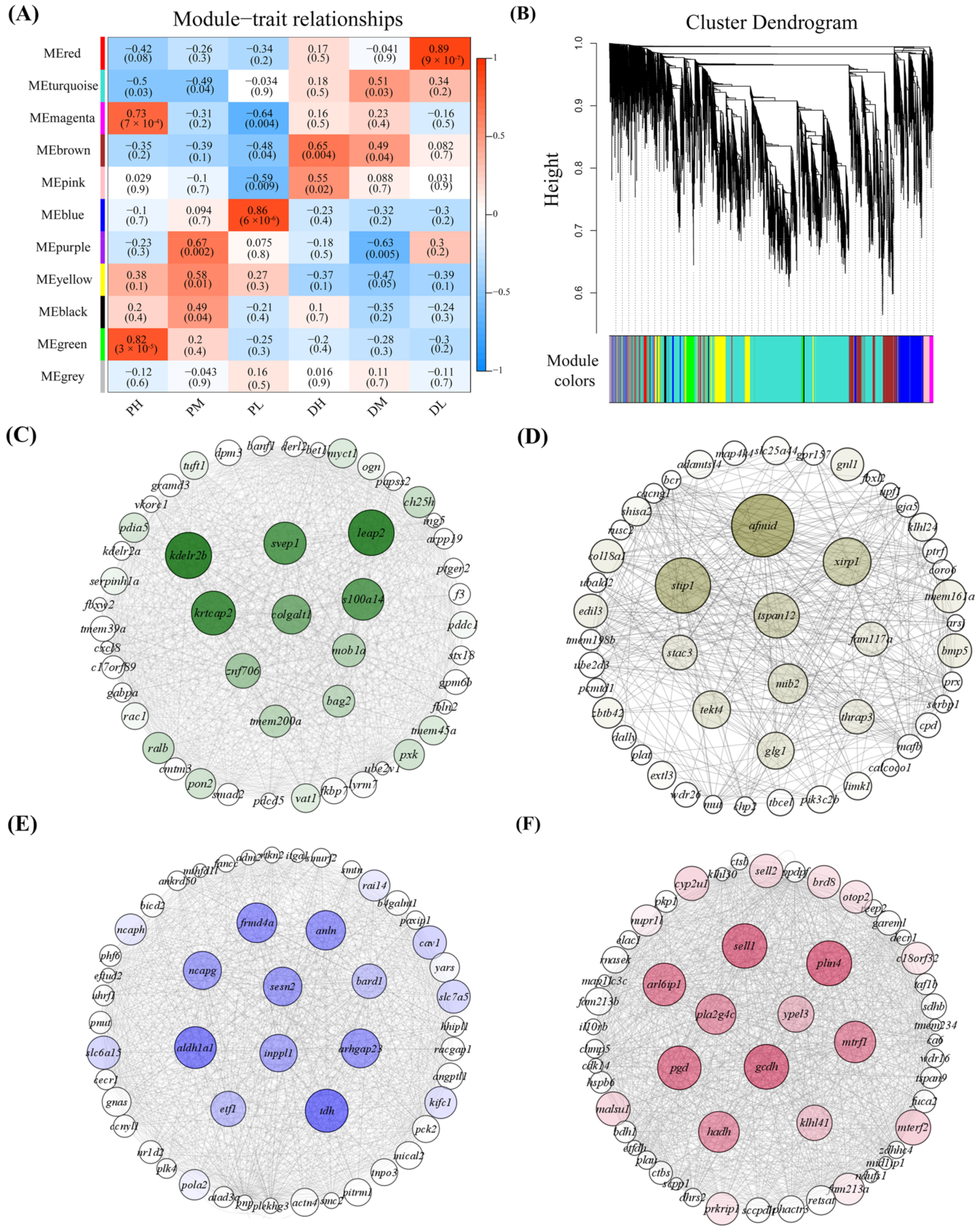Ijms 23 09812 g003 Ijms 23 09812 g003