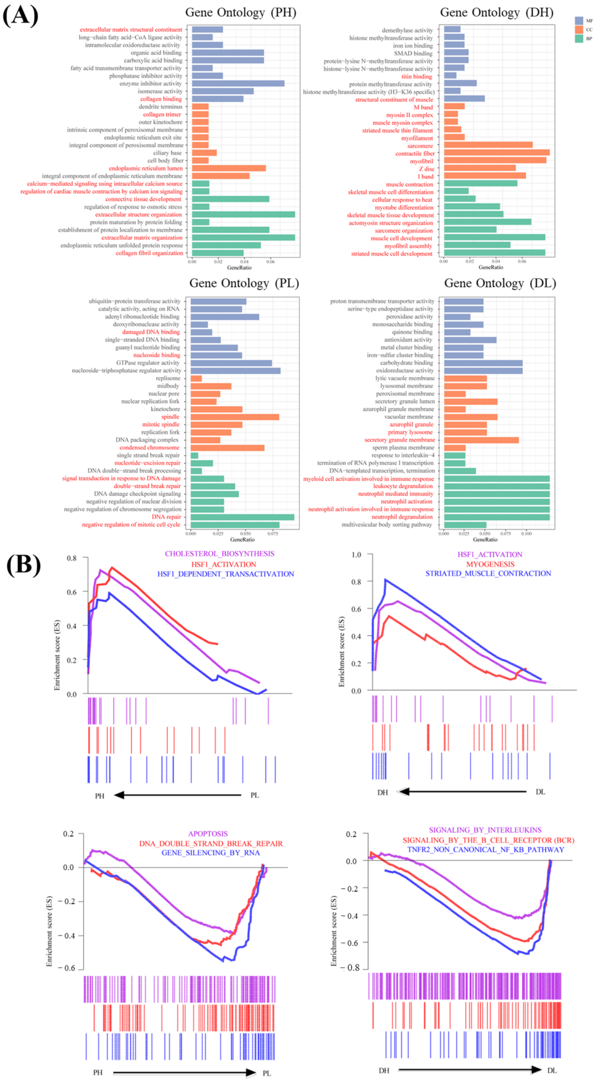 Ijms 23 09812 g004 Ijms 23 09812 g004