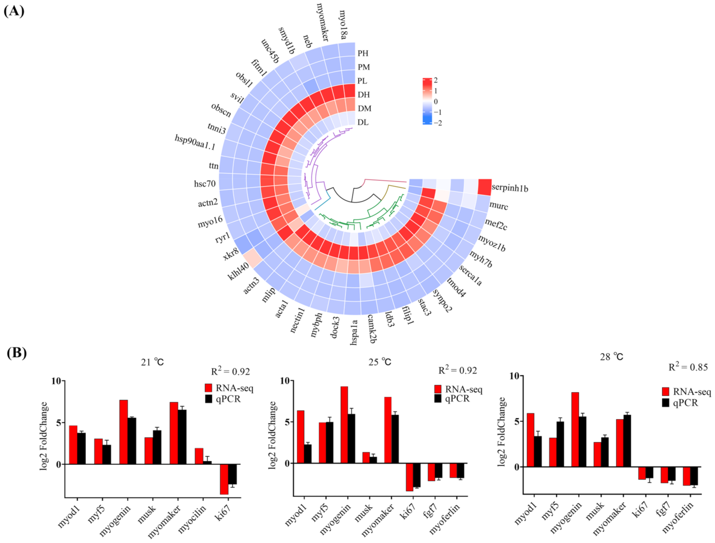 Ijms 23 09812 g006 Ijms 23 09812 g006